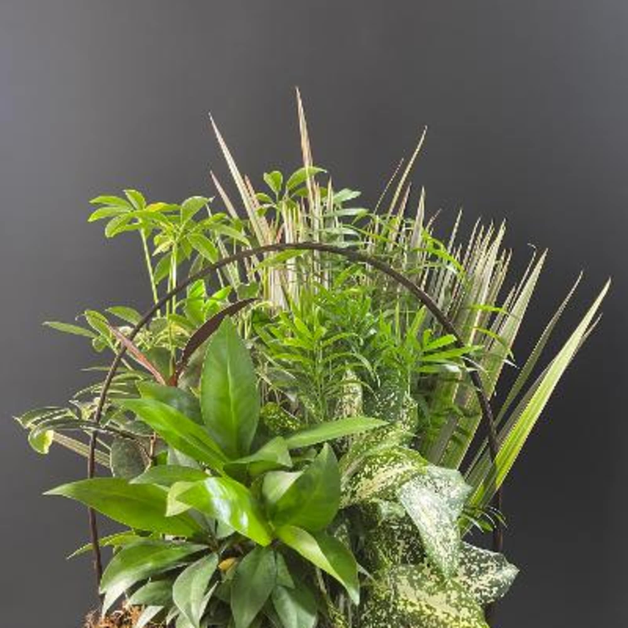 This basket filled with living plants will also carry comfort and compassion