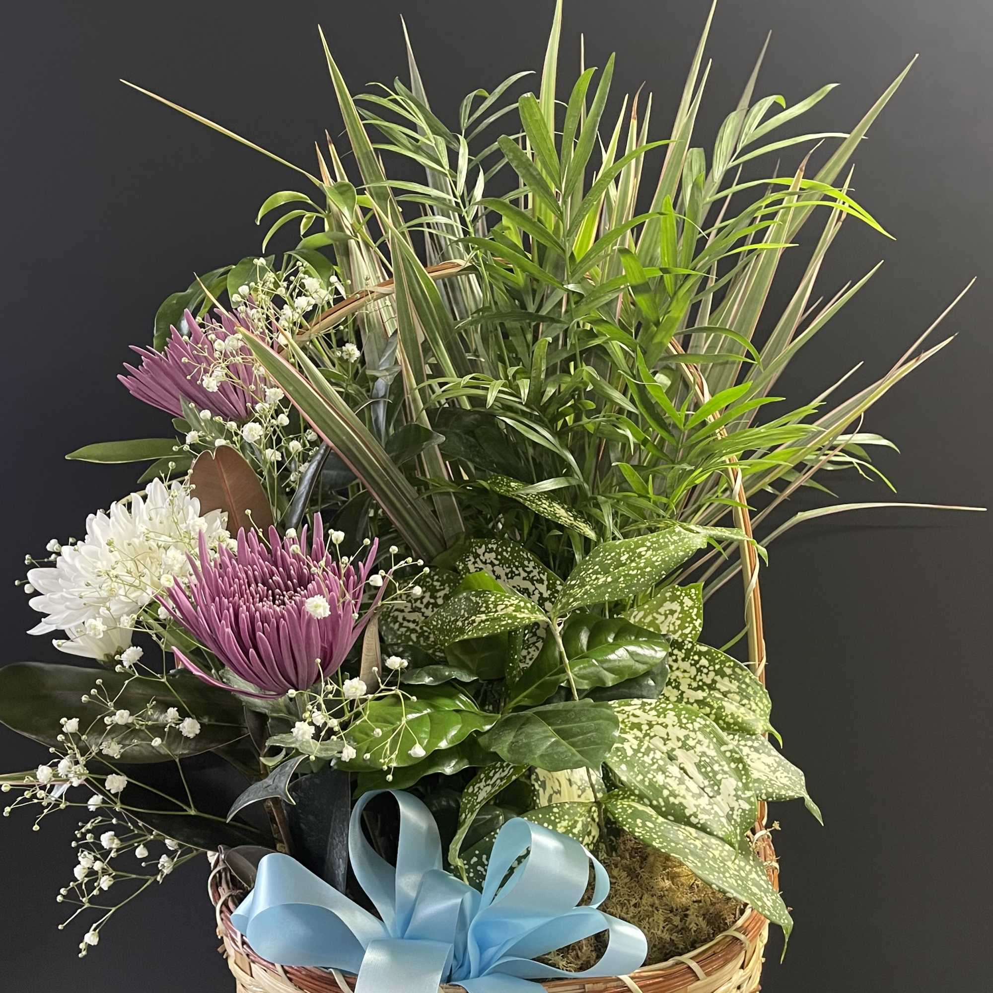This basket filled with living plants will also carry comfort and compassion