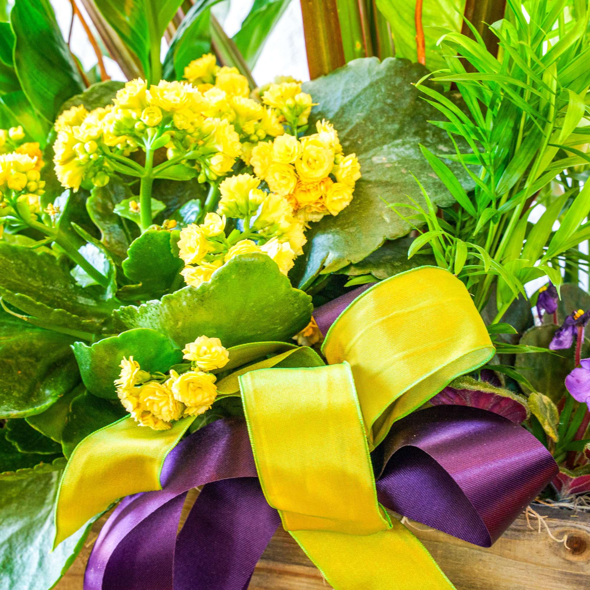 Bring the beauty of outdoors inside with a gift that lasts. Our