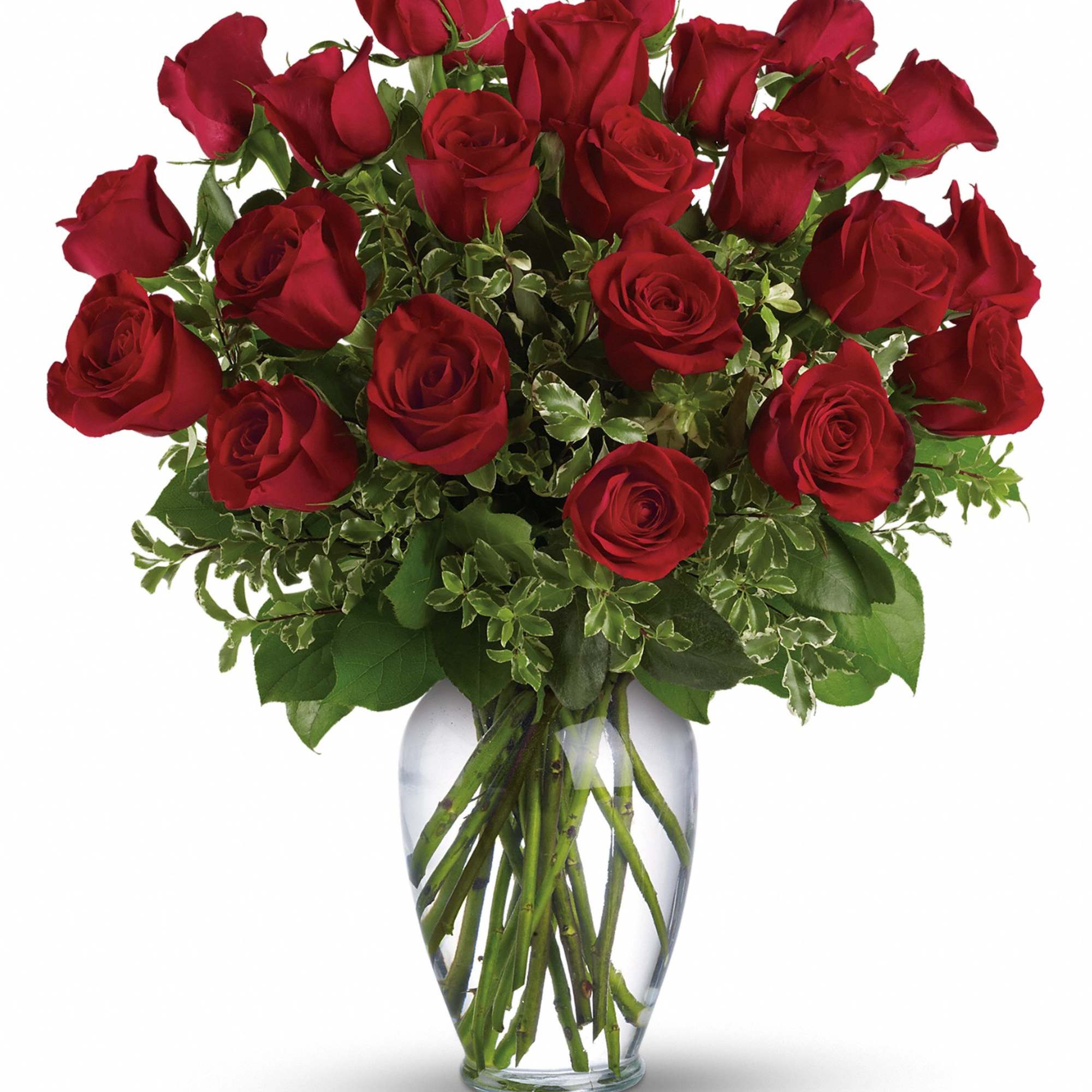 Premium Red Roses with assorted greens arranged in a glass vase. Red