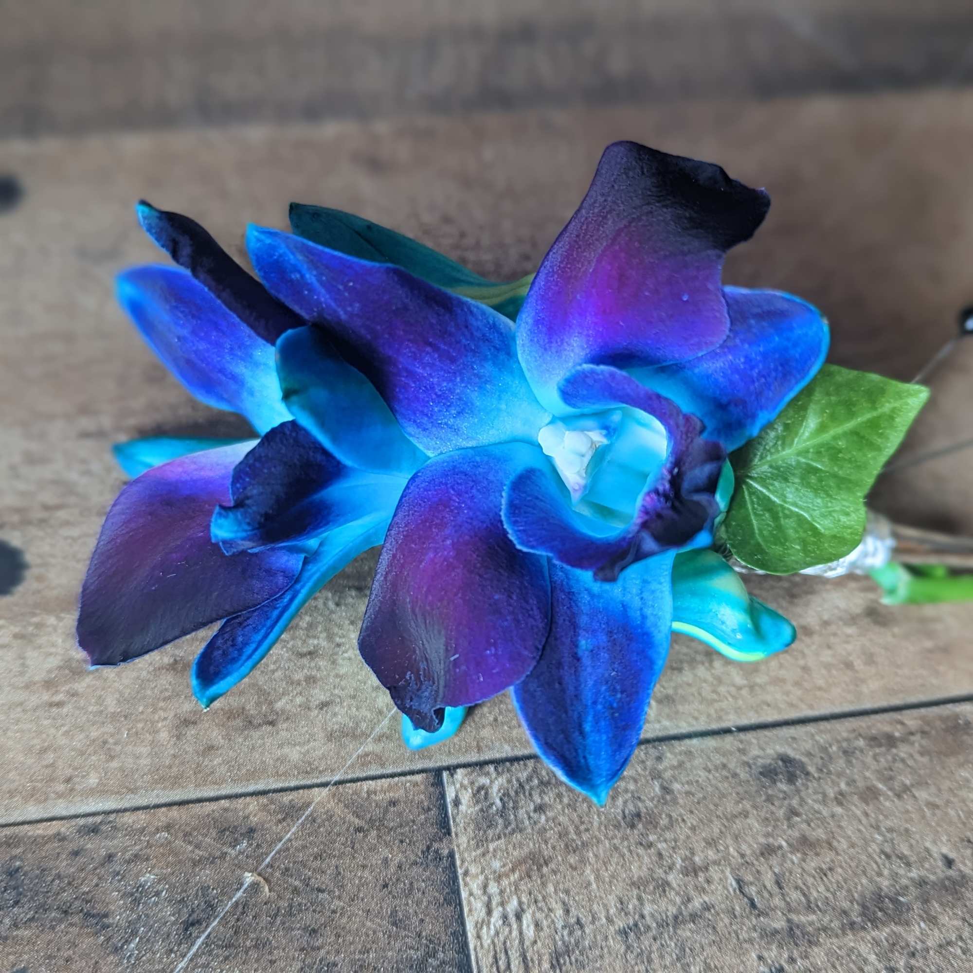 Shown as Standard
Blue bomb dendrobium orchids come with accenting ivy and silver