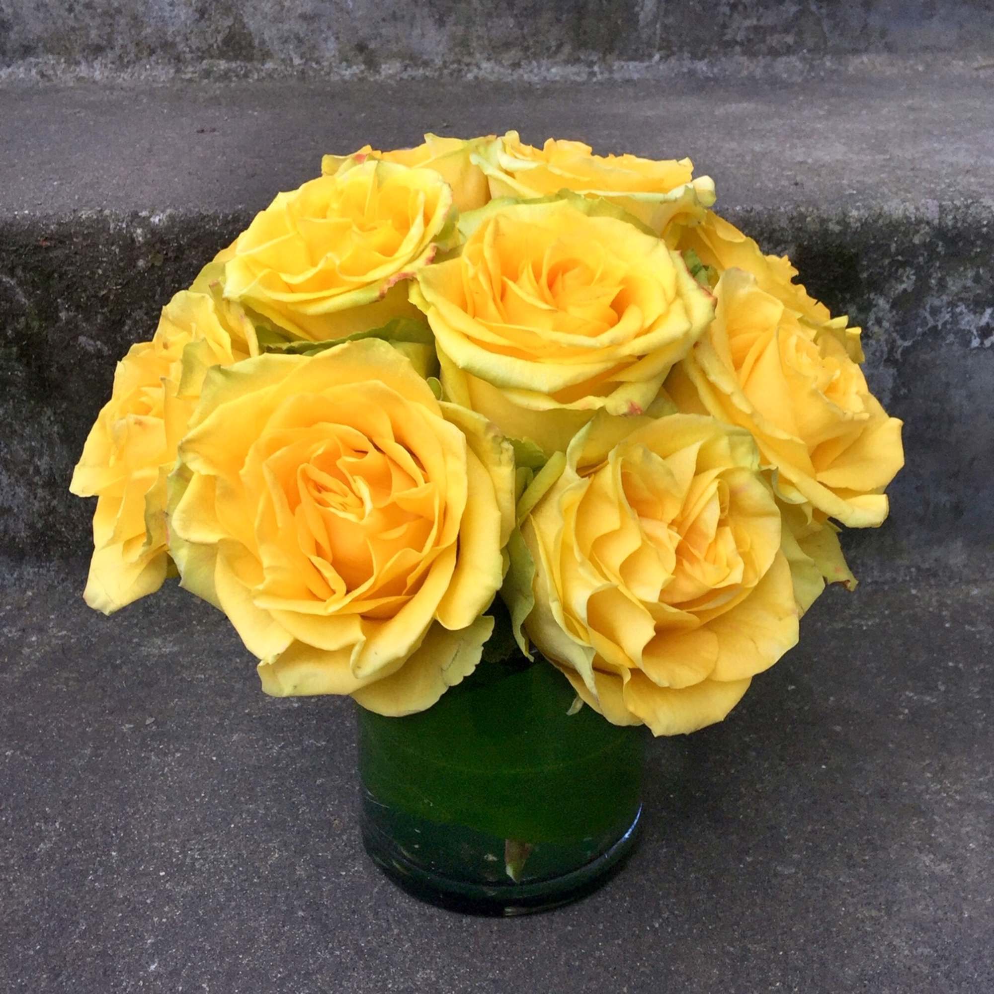 Classic, simple, perfect. One dozen premium roses arranged without filler or fuss