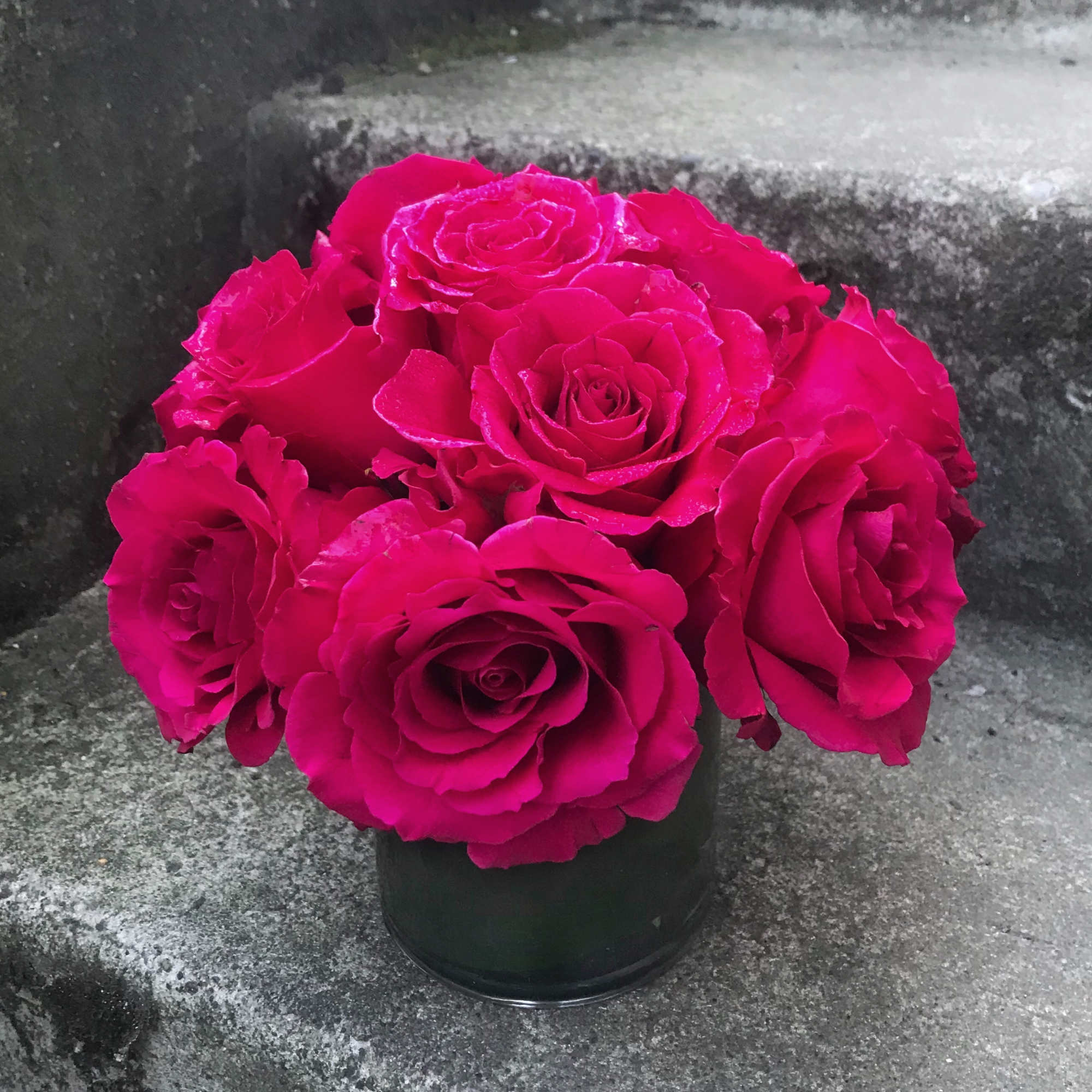 Classic, simple, perfect. One dozen premium roses arranged without filler or fuss