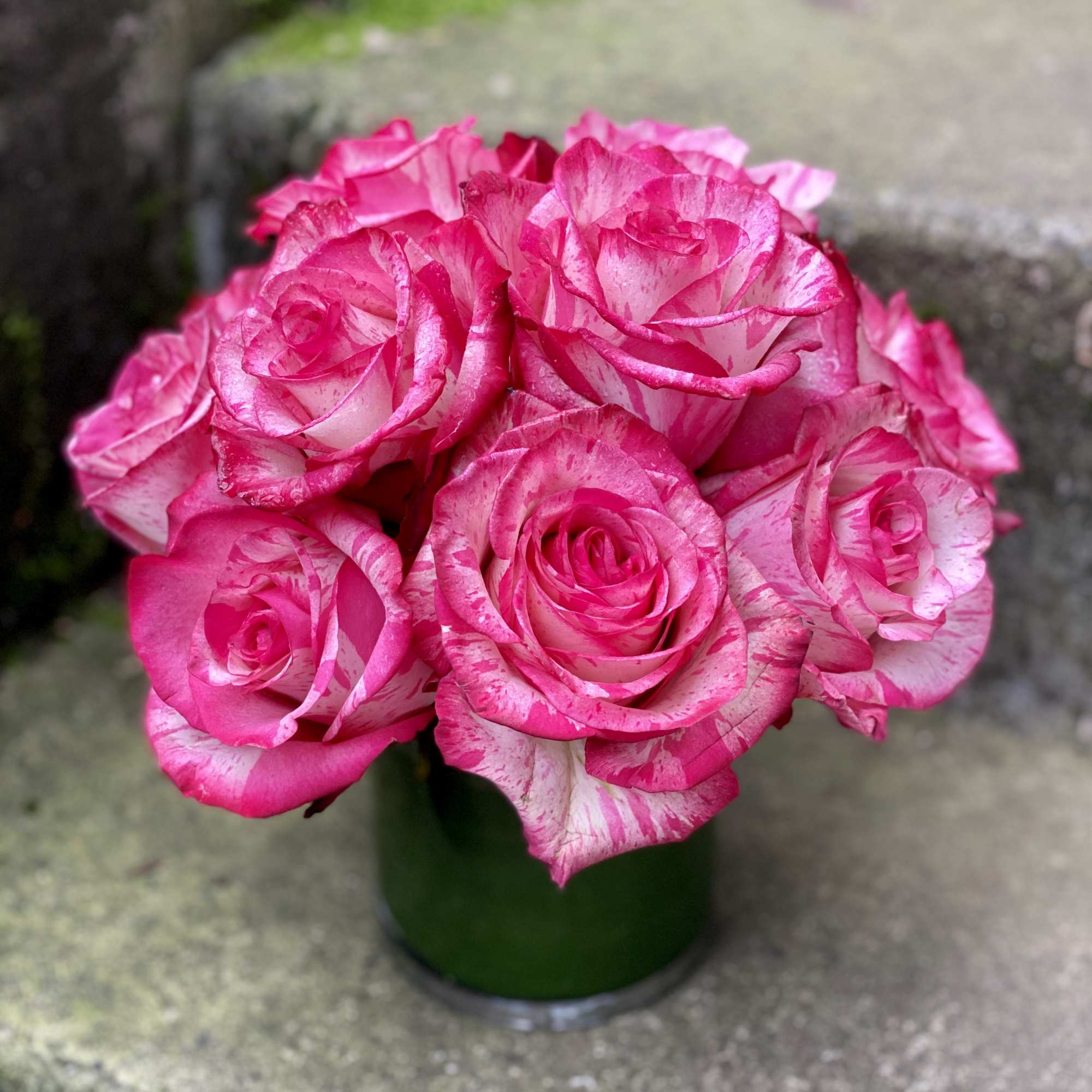 Classic, simple, perfect. One dozen premium roses arranged without filler or fuss