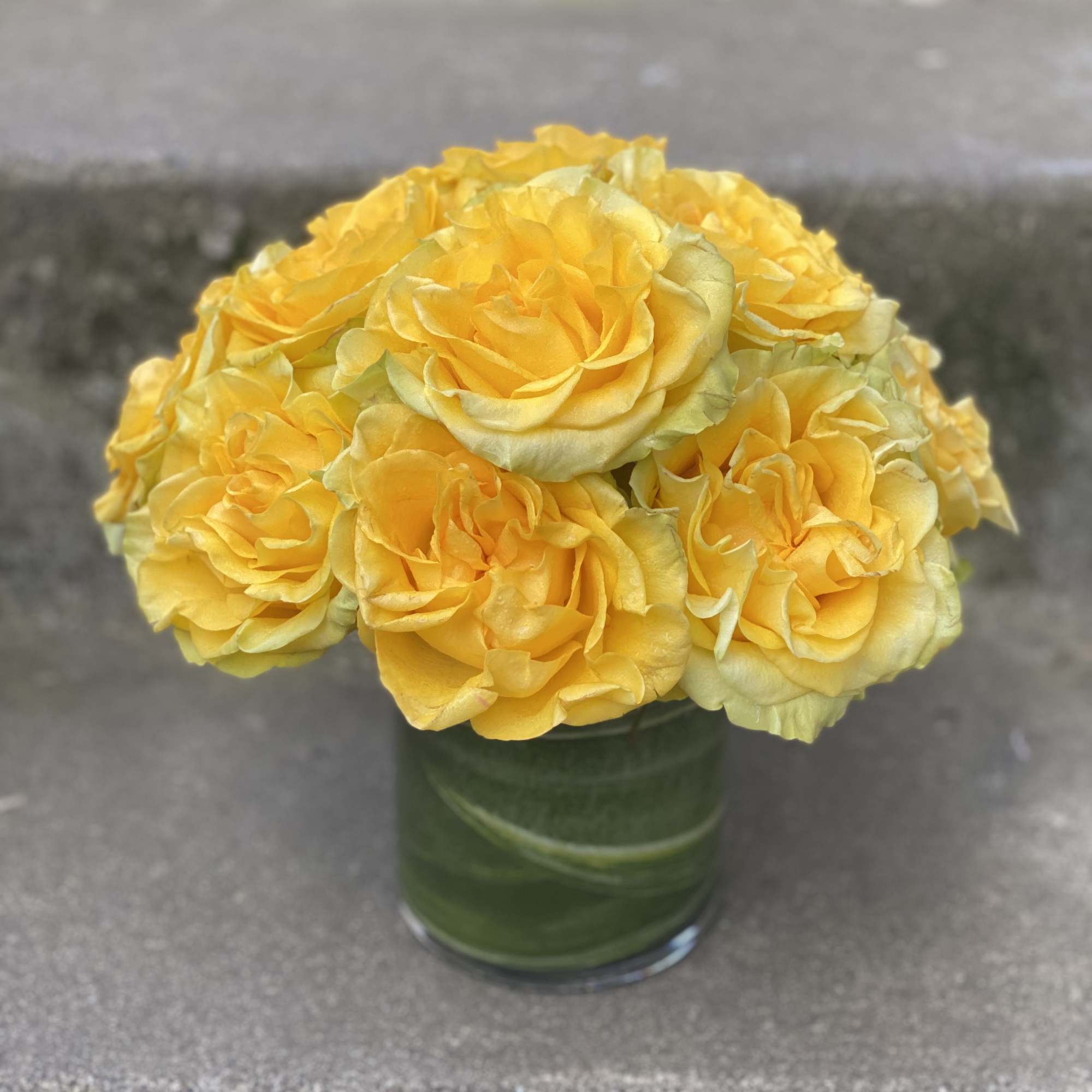 Classic, simple, perfect. One dozen premium roses arranged without filler or fuss