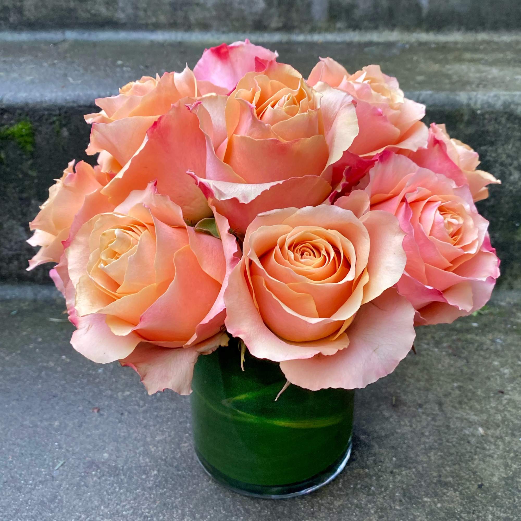 Classic, simple, perfect. One dozen premium roses arranged without filler or fuss