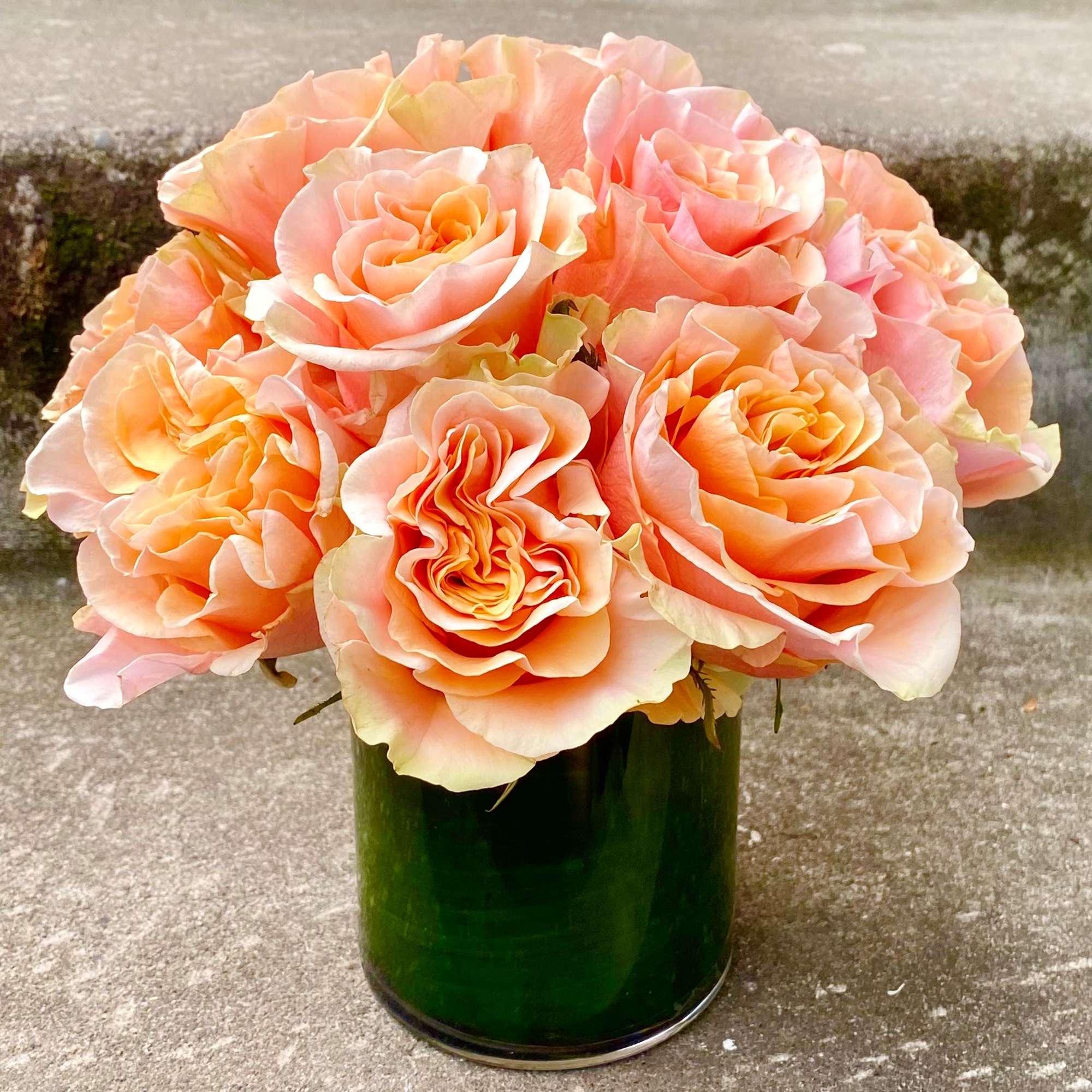 Classic, simple, perfect. One dozen premium roses arranged without filler or fuss