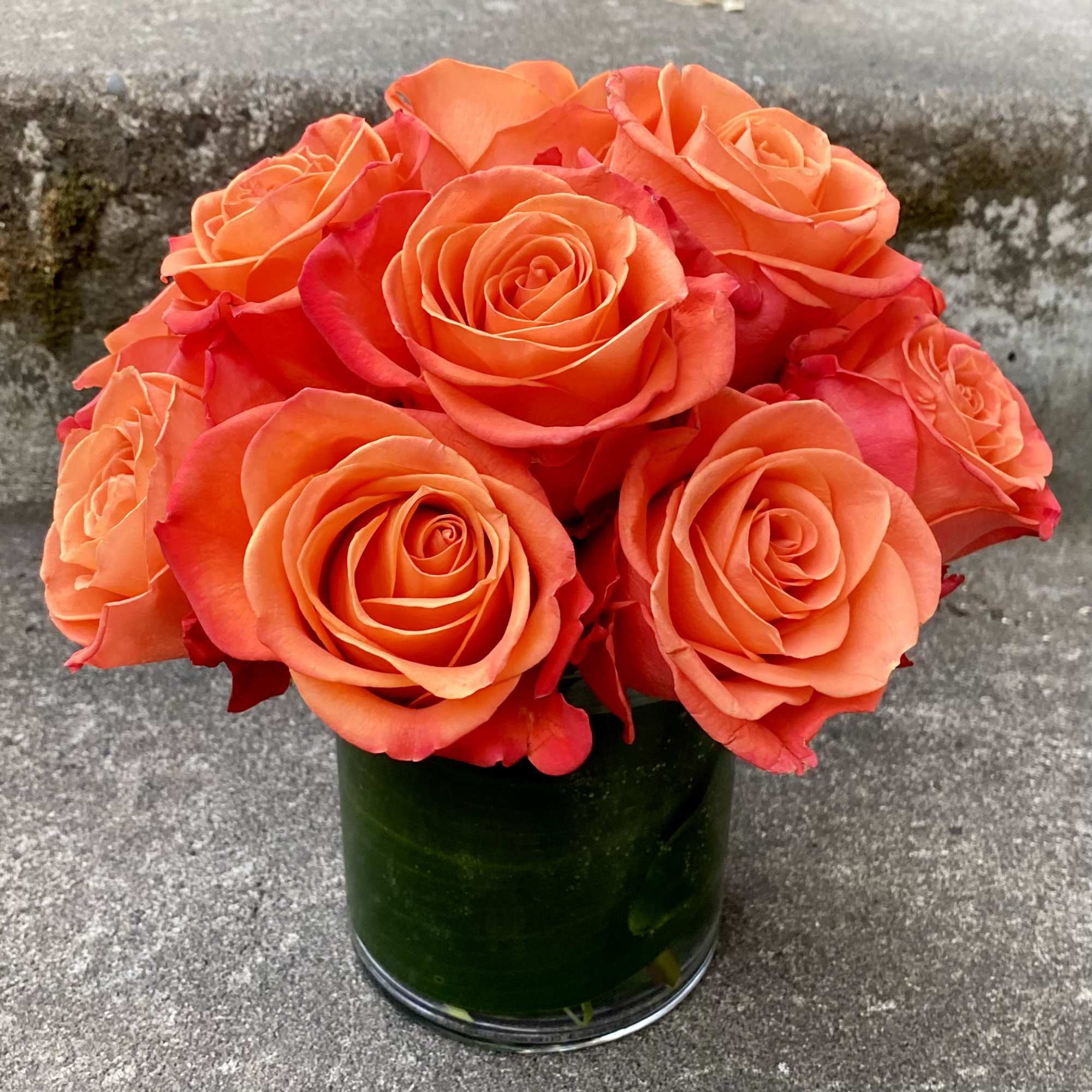 Classic, simple, perfect. One dozen premium roses arranged without filler or fuss