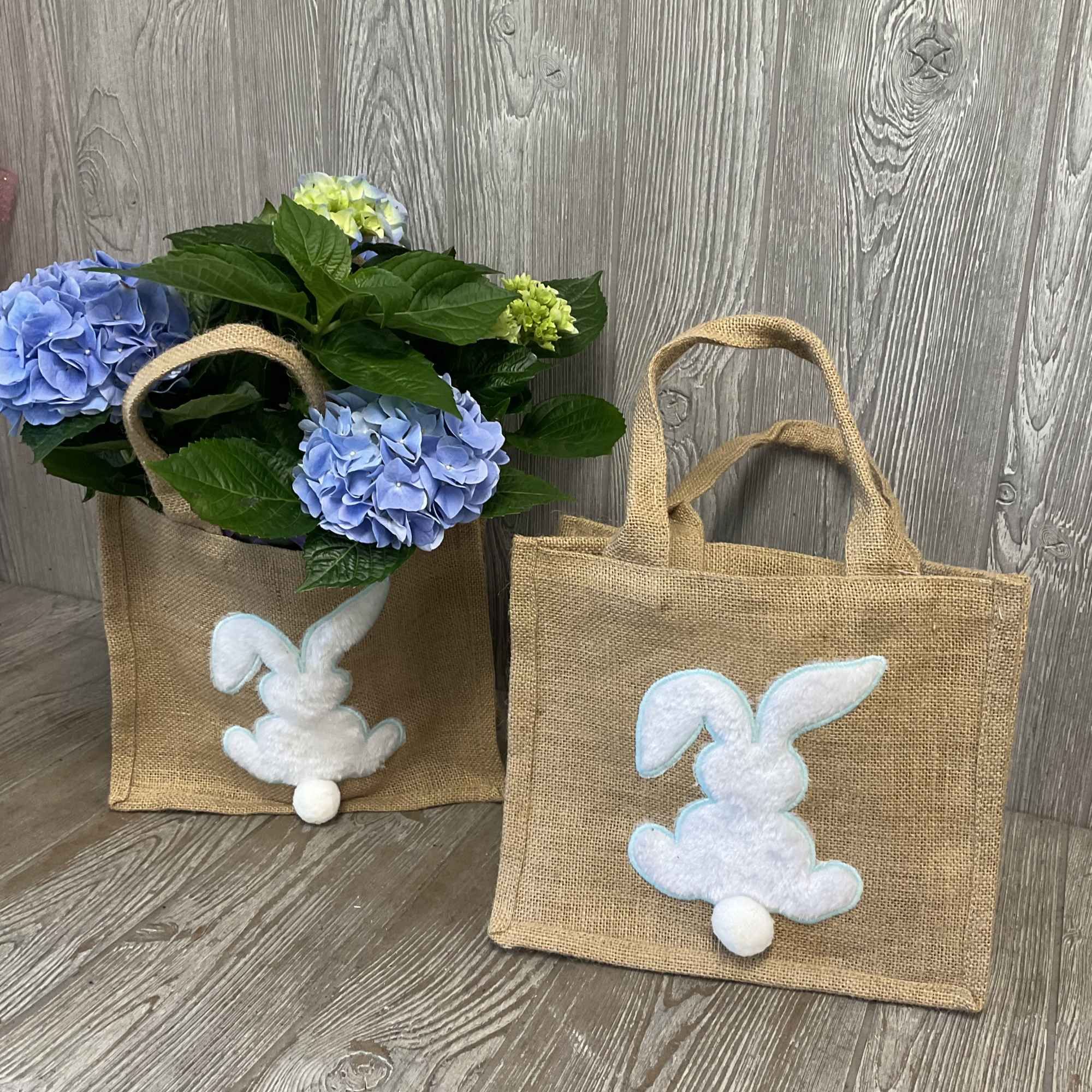 6 inch pot hydrangea plant around 18 inches tall in a reusable