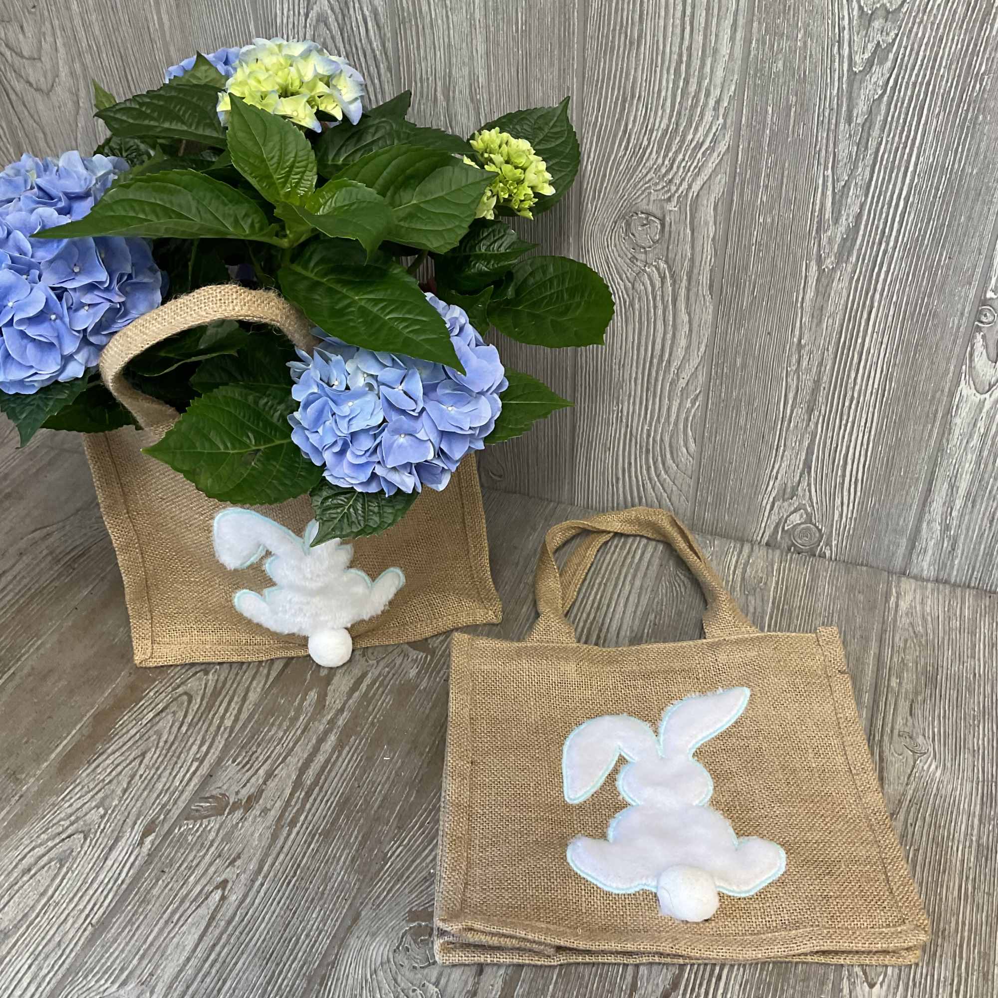 6 inch pot hydrangea plant around 18 inches tall in a reusable