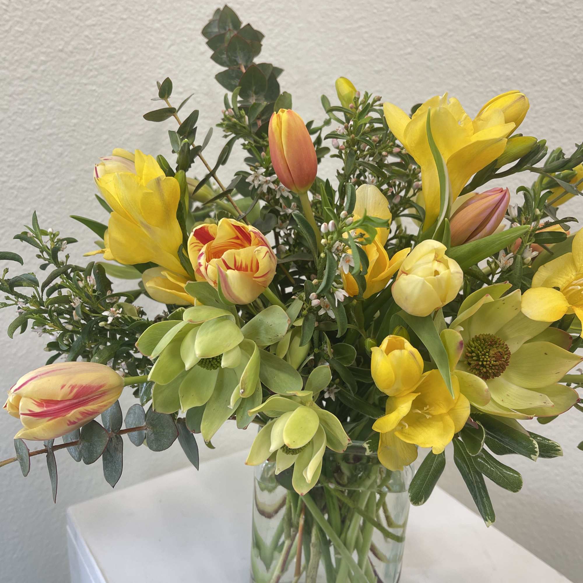 Sunny Springtime Tulips with fragrant Freesias
