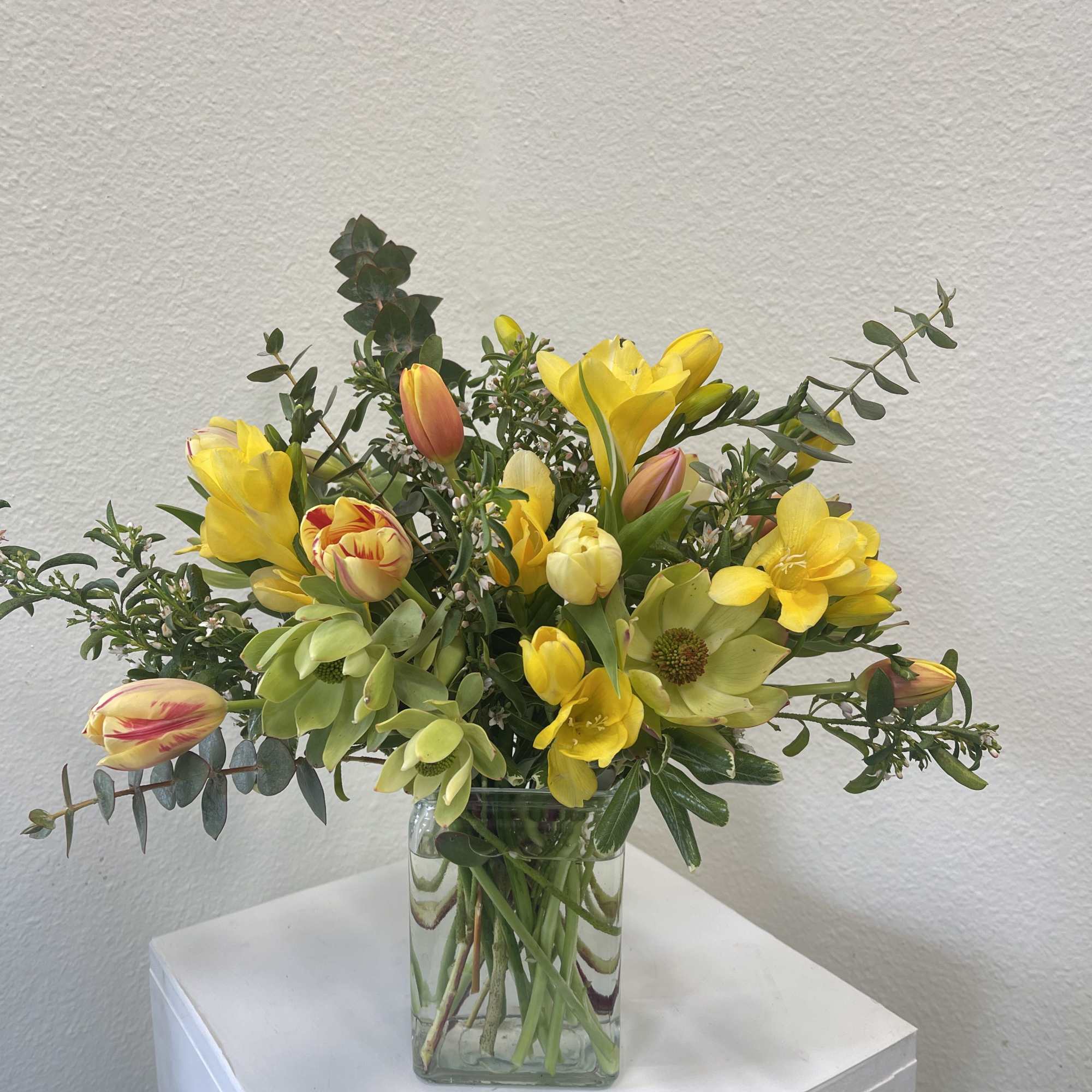Sunny Springtime Tulips with fragrant Freesias