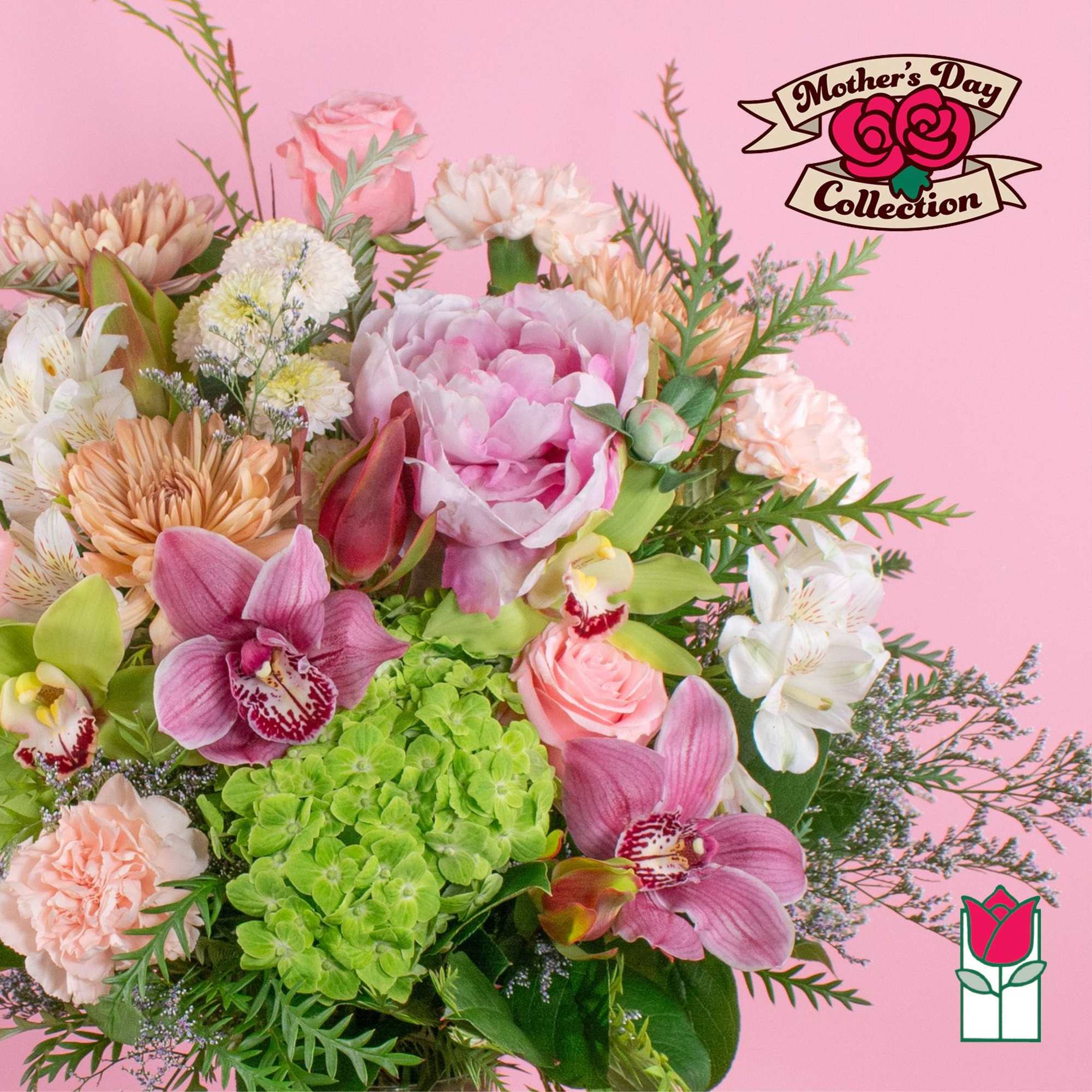 Mixed bouquet of pink peonies, orchids, roses, and green hydrangea on a pink background