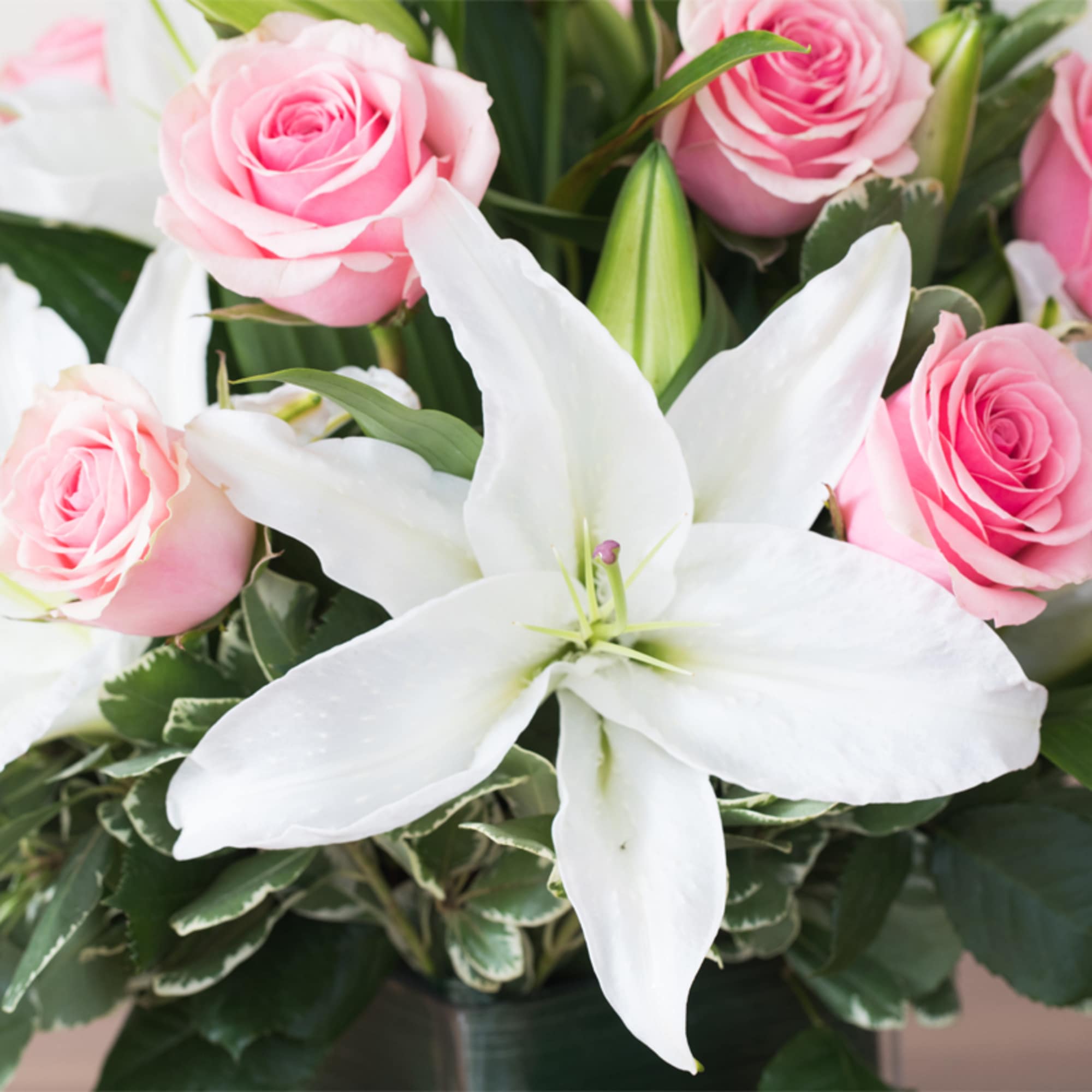 A truly gorgeous piece featuring stunning stargazer lilies and a dozen premium