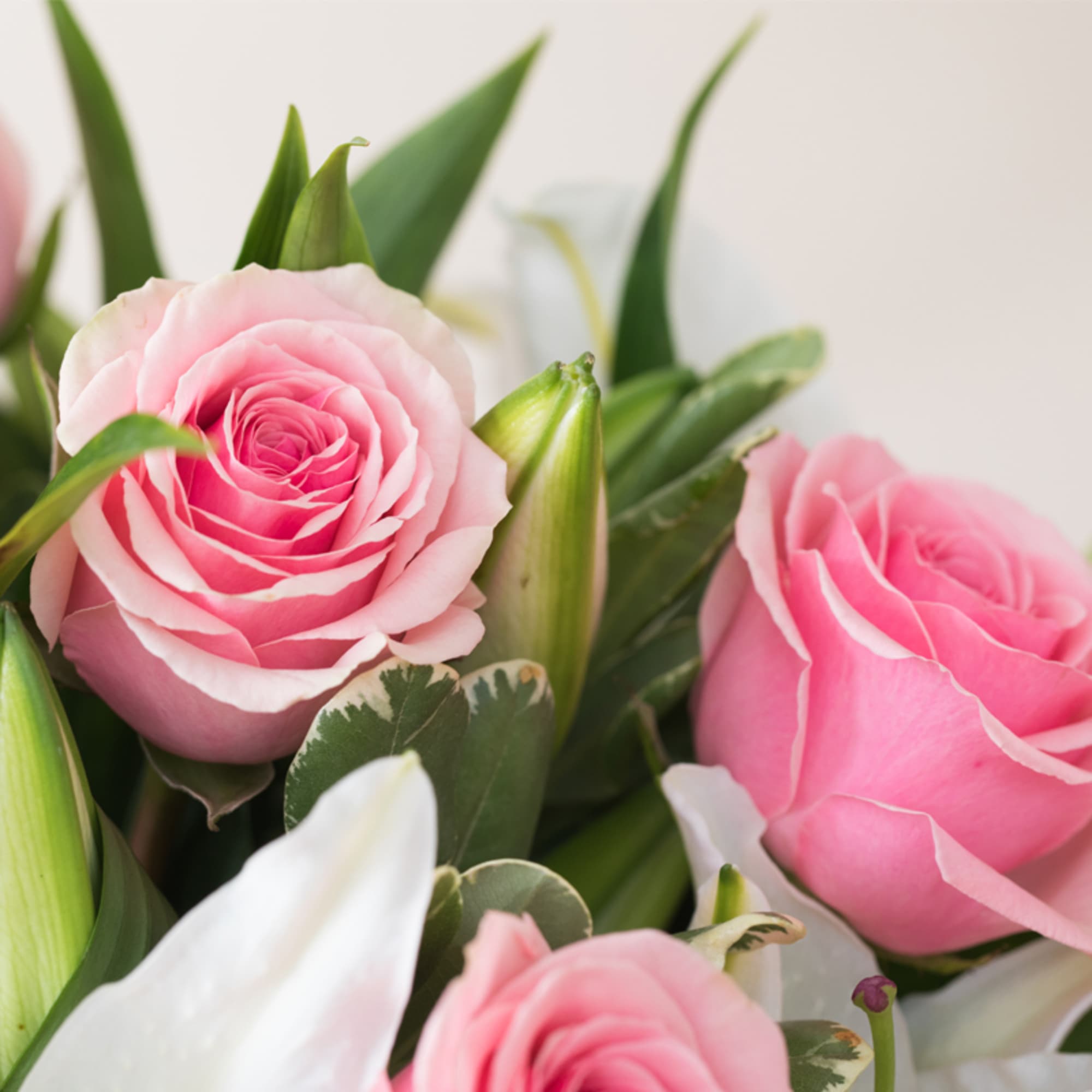 A truly gorgeous piece featuring stunning stargazer lilies and a dozen premium