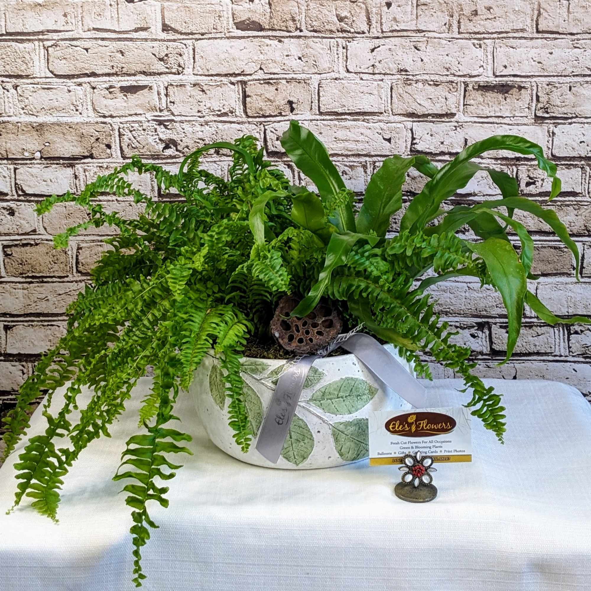 Lush and full of texture, this ceramic planter showcases the beauty of