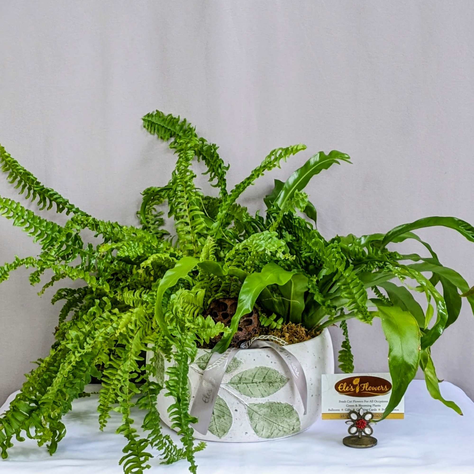 Lush and full of texture, this ceramic planter showcases the beauty of