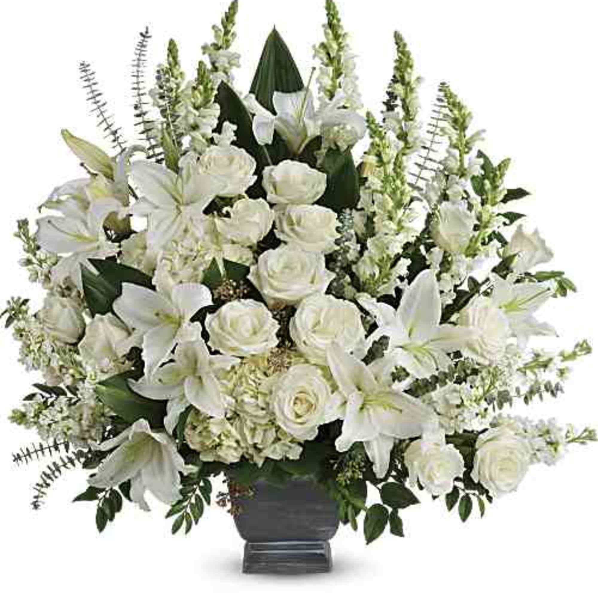 Like the sun on the horizon, this pure white bouquet of hydrangea