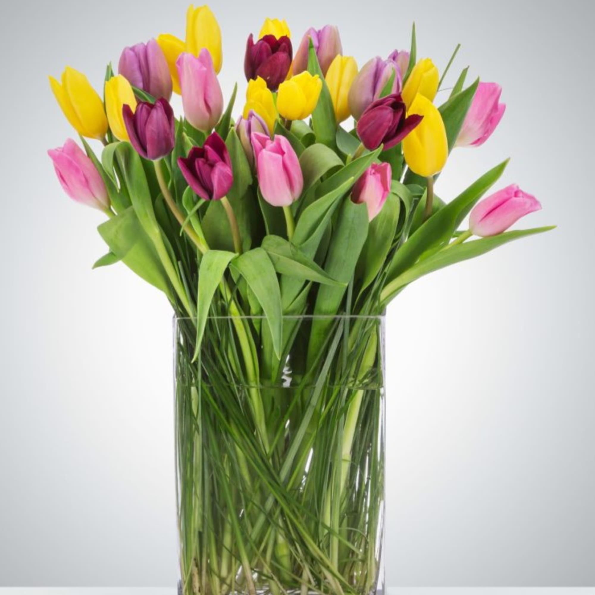 Send a selection of tulips to somebody you have unconditional love for!