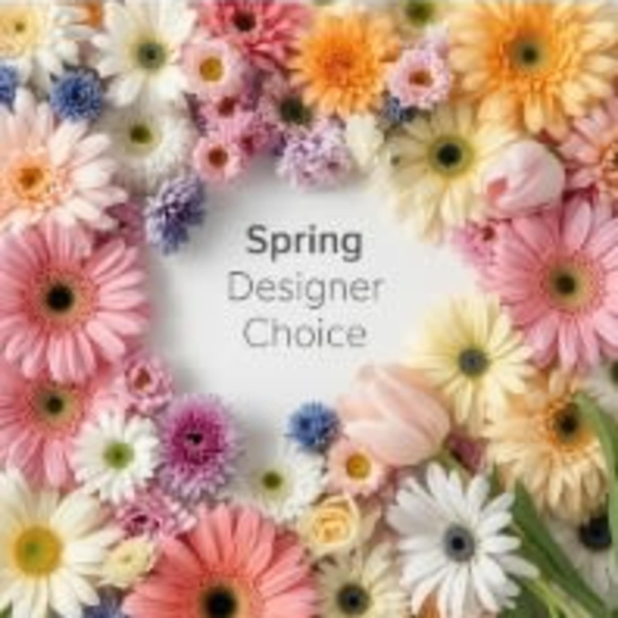 Pastel daisies, gerbera daisies, mums, tulips, and roses framing text that reads Spring Designer Choice