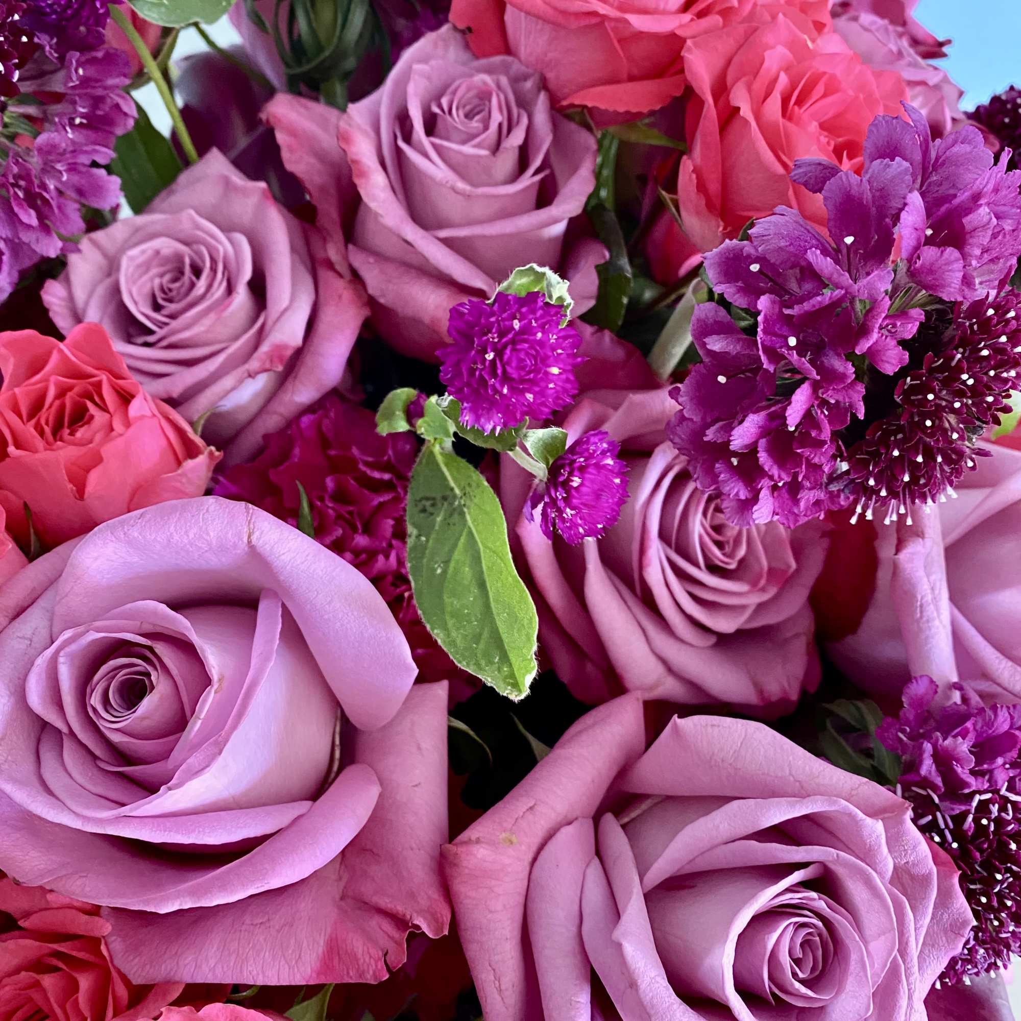 Close-up of a bouquet of lavender and hot pink roses with bright purple filler flowers