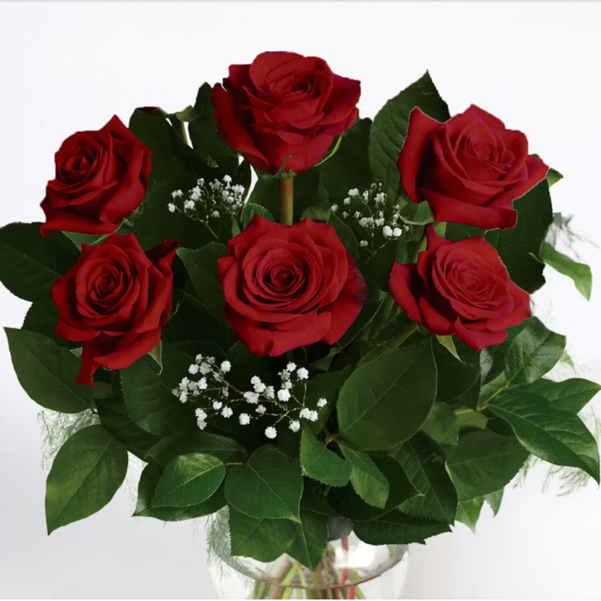 Six rich red roses arranged in a tight, rounded cluster create an