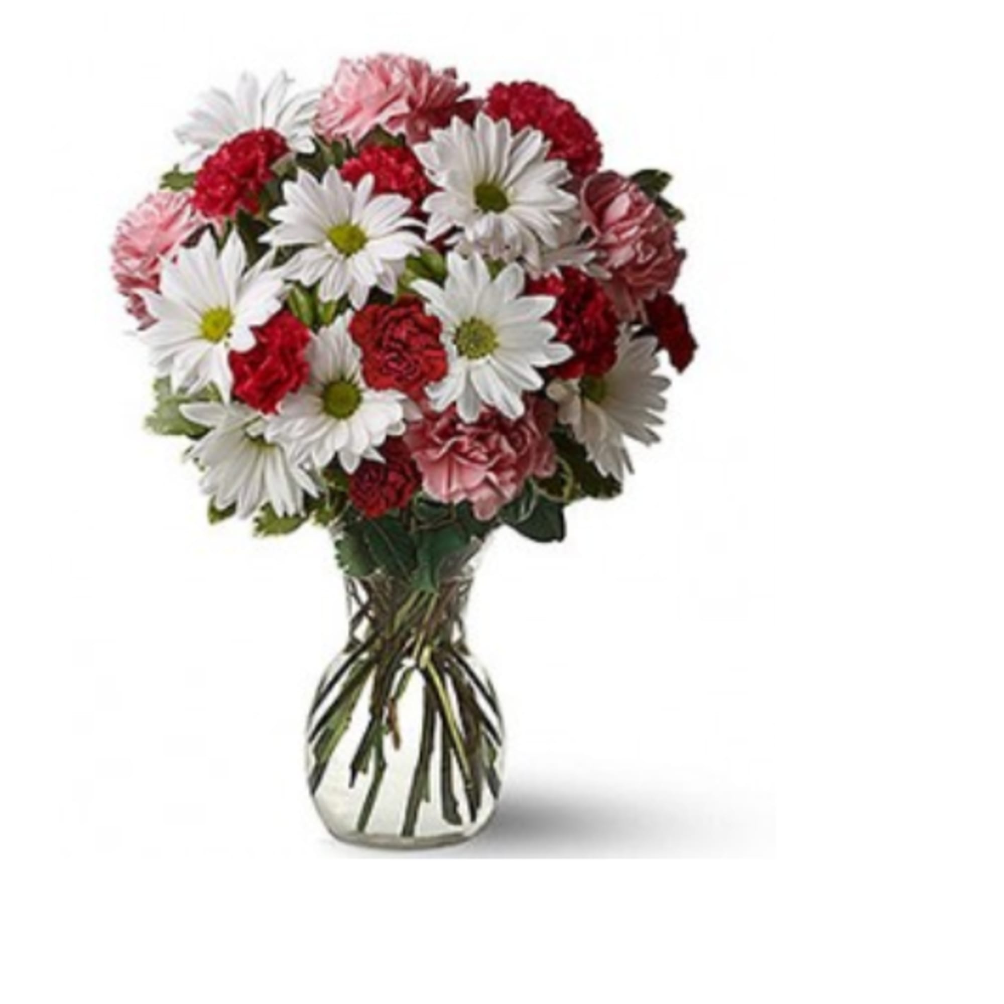 A lively dome of white daisies paired with red and soft pink