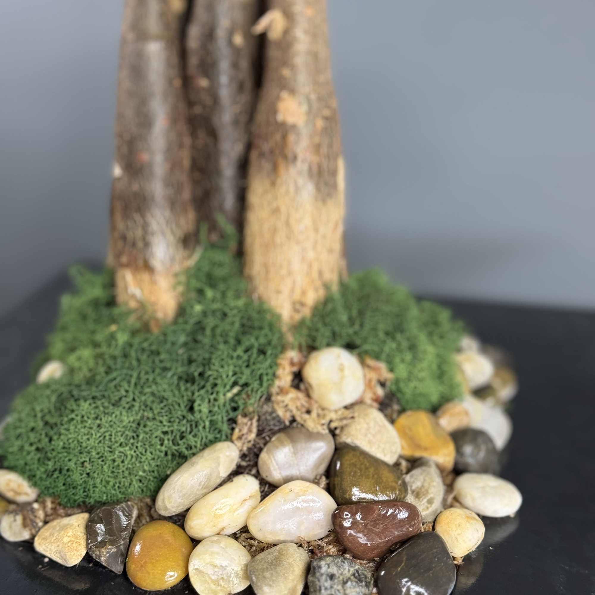 Cluster of plant trunks with moss and smooth river stones on a dark base