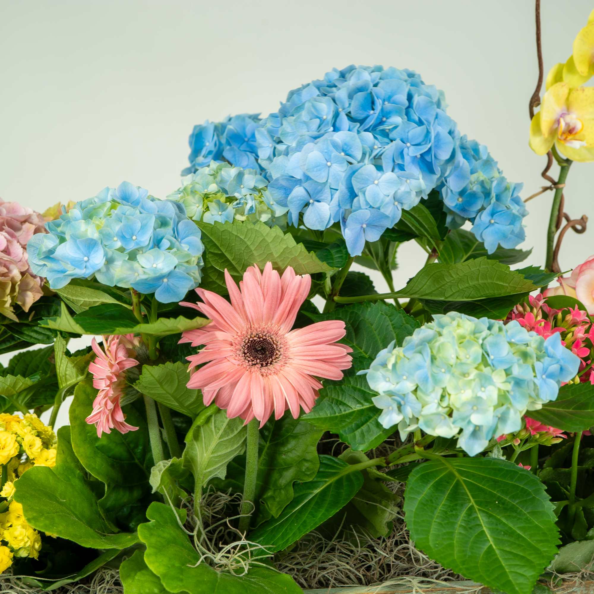This long garden box measures about 24 inches and includes a variety