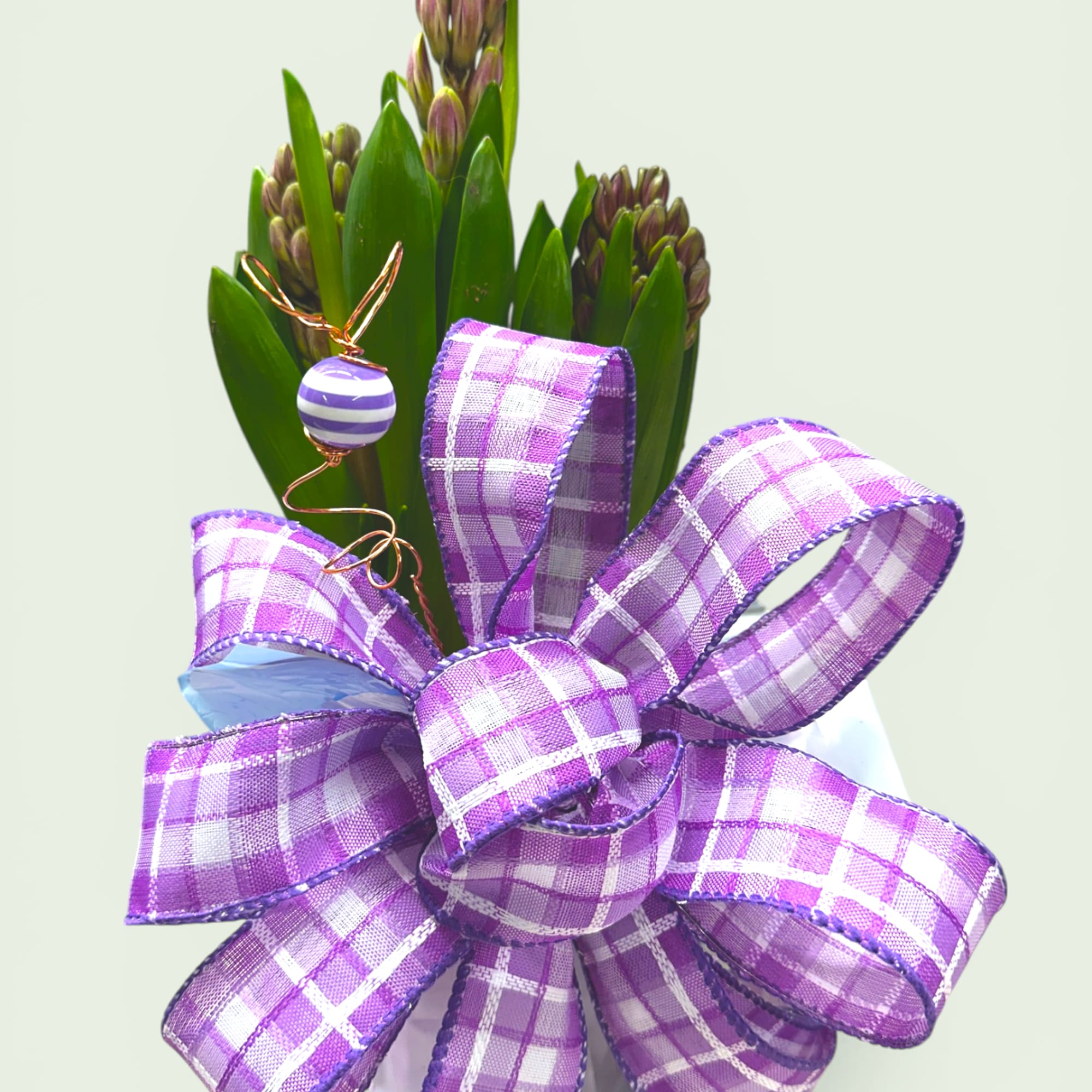 Celebrate the beauty of spring with our Spring Symphony Bulb Set! Each