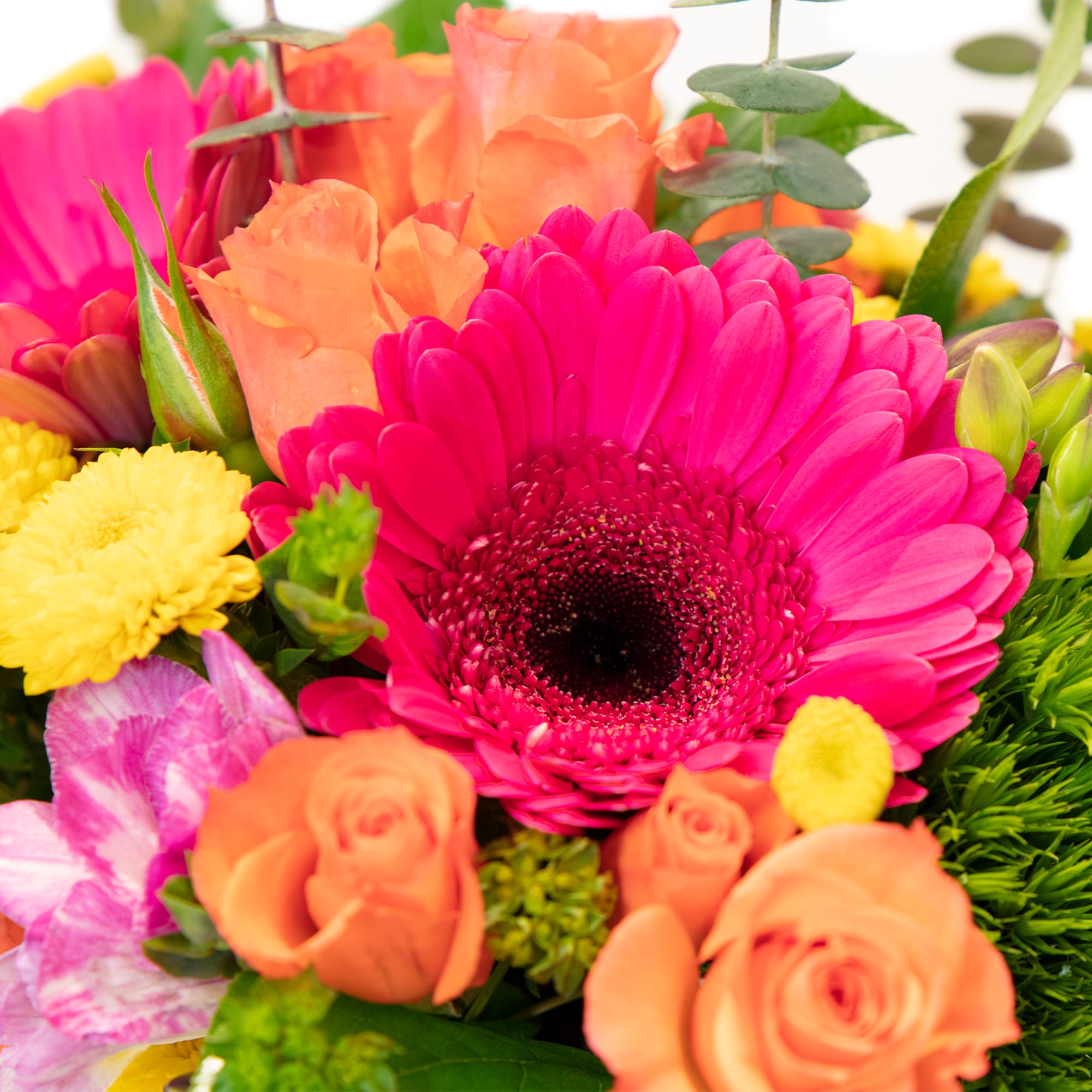 Bright bouquet with hot pink gerbera daisy, orange roses, yellow mums, and mixed accent blooms.