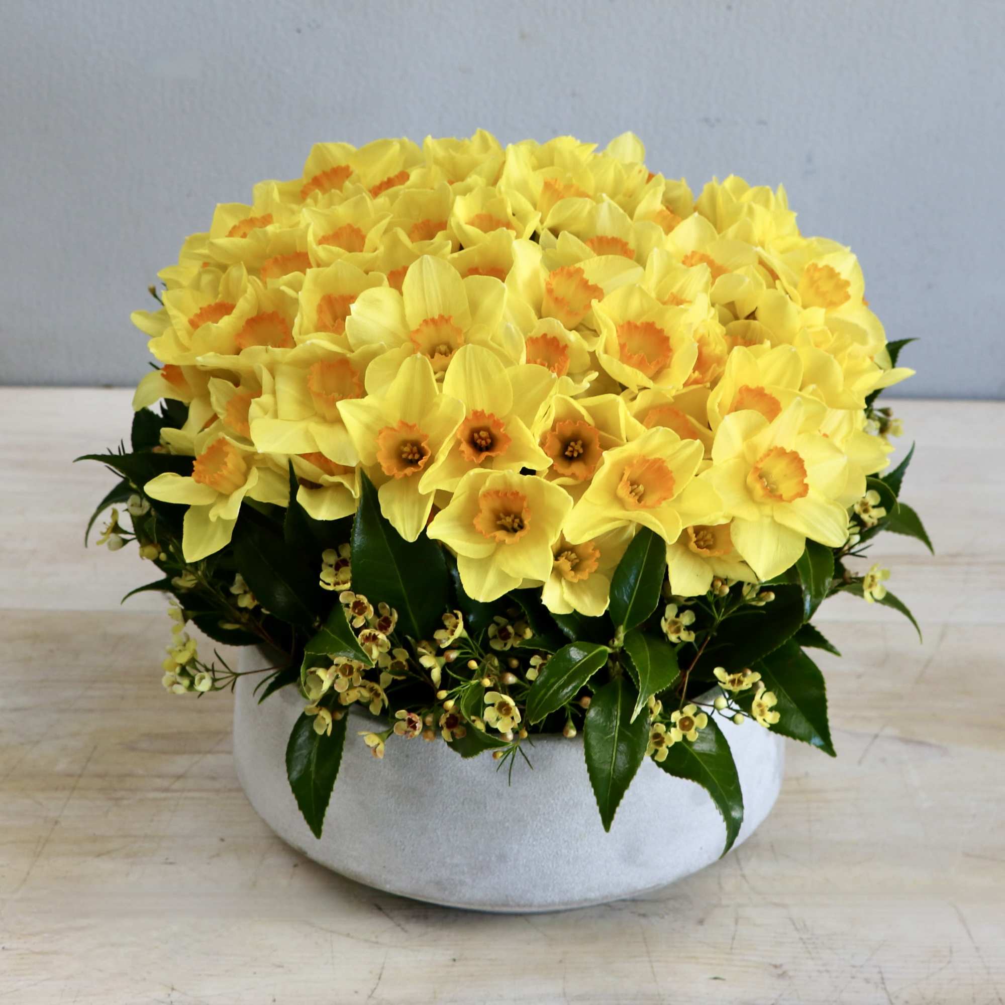 Looking to brighten up someone's day? Try our new daffodil special. With