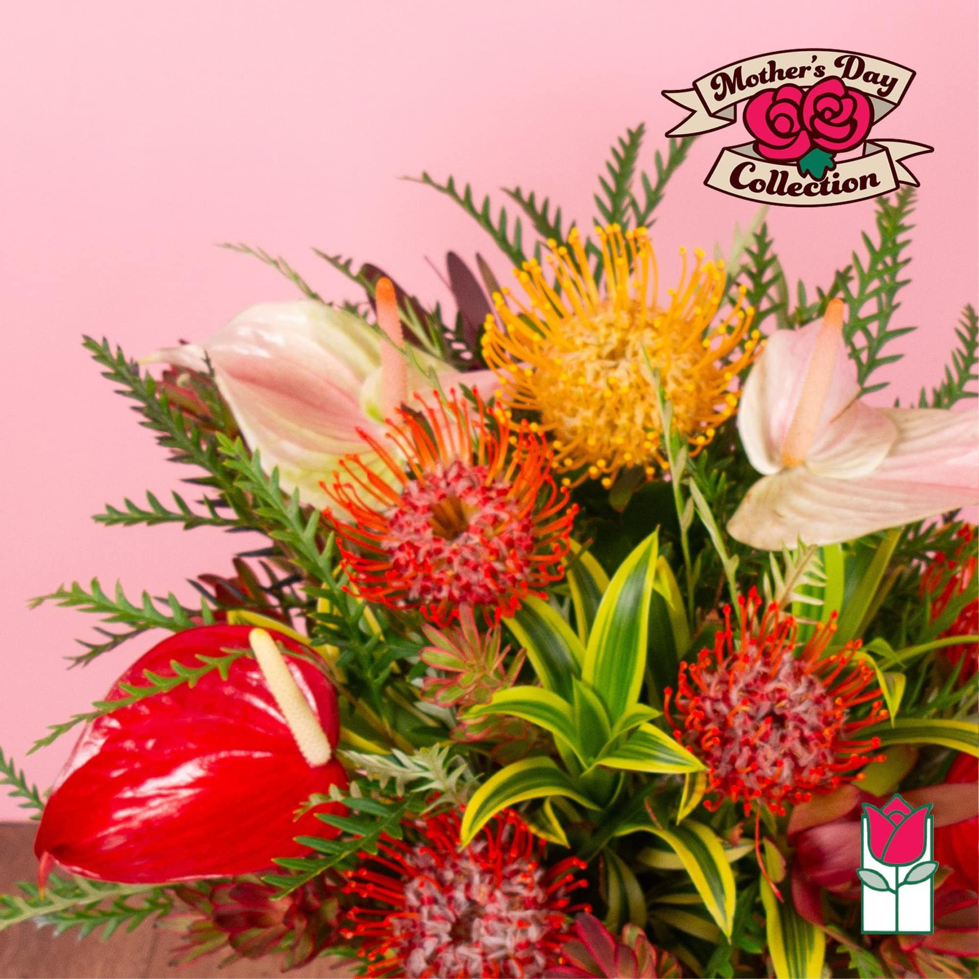 Tropical bouquet with red and yellow protea and anthurium flowers against a pink background