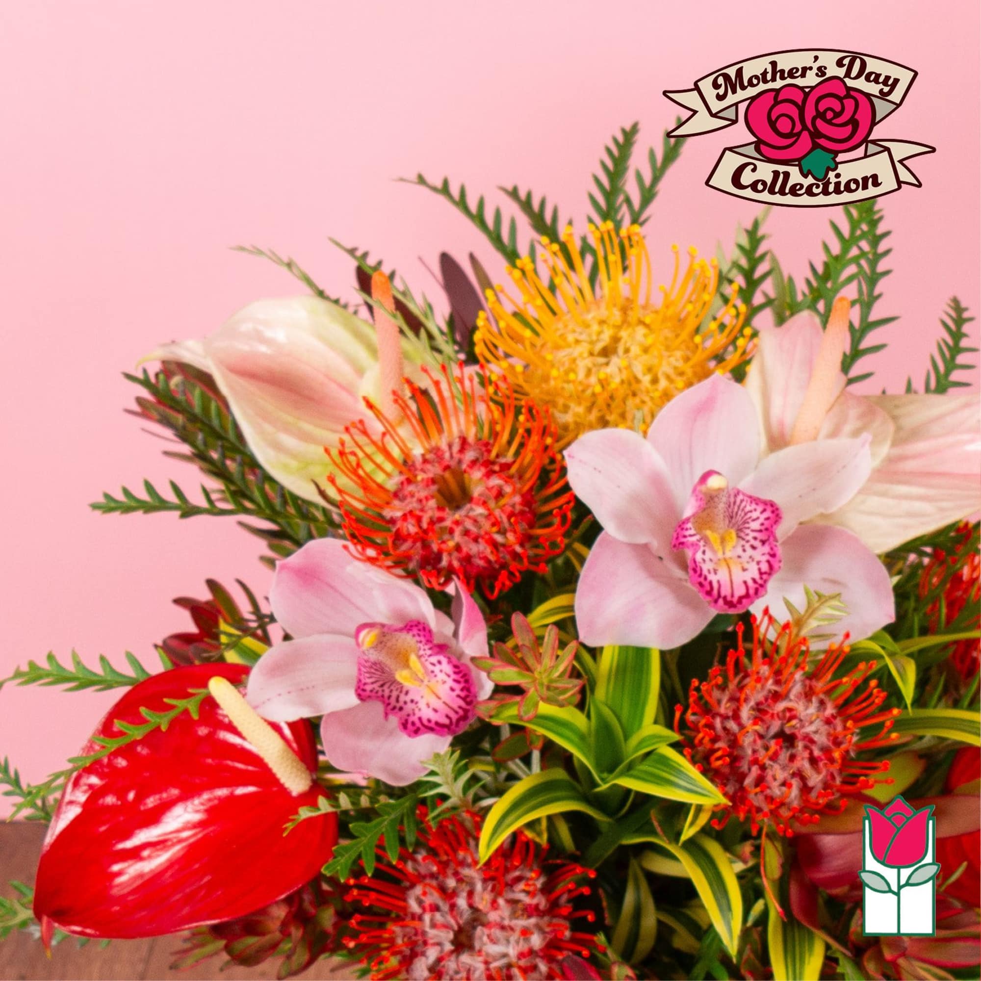 Colorful tropical arrangement with pink orchids, pincushion protea, and red anthurium on a pink background