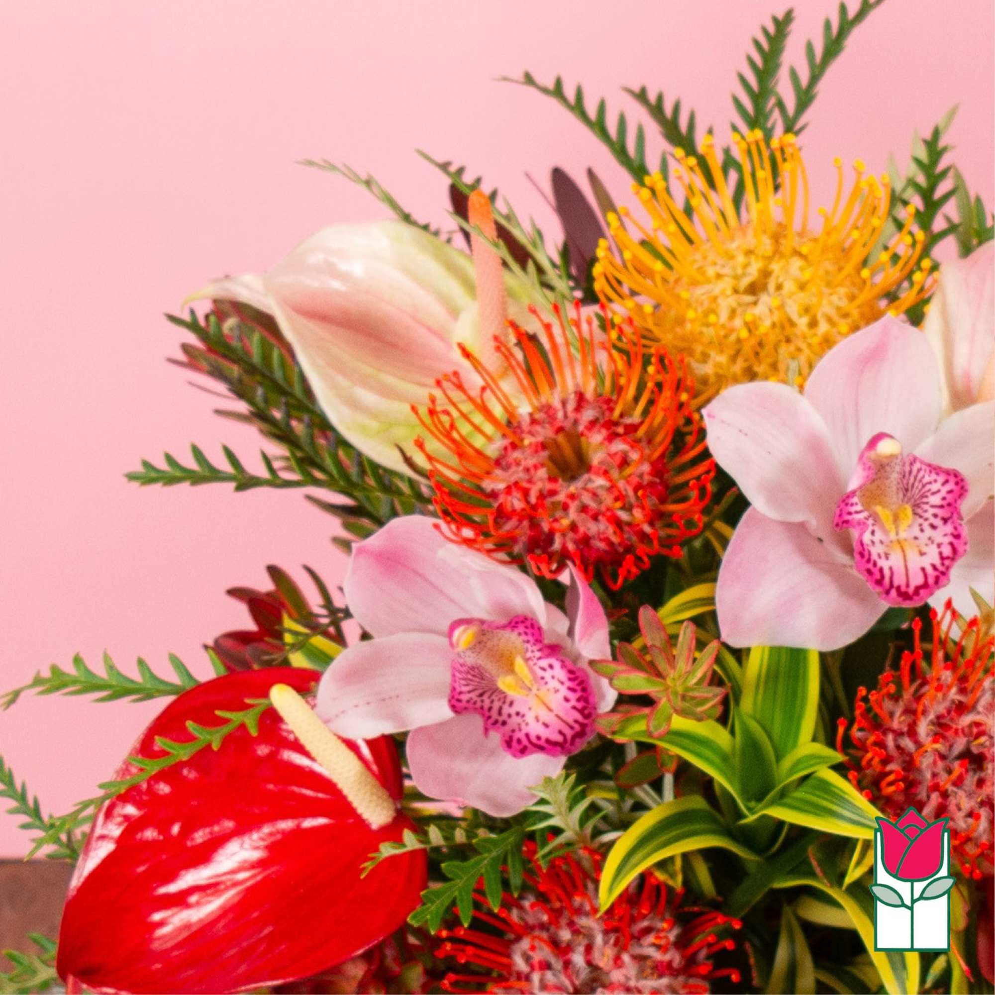 Bright tropical arrangement with pink orchids, red anthurium, and orange pincushion protea on a pink backdrop.