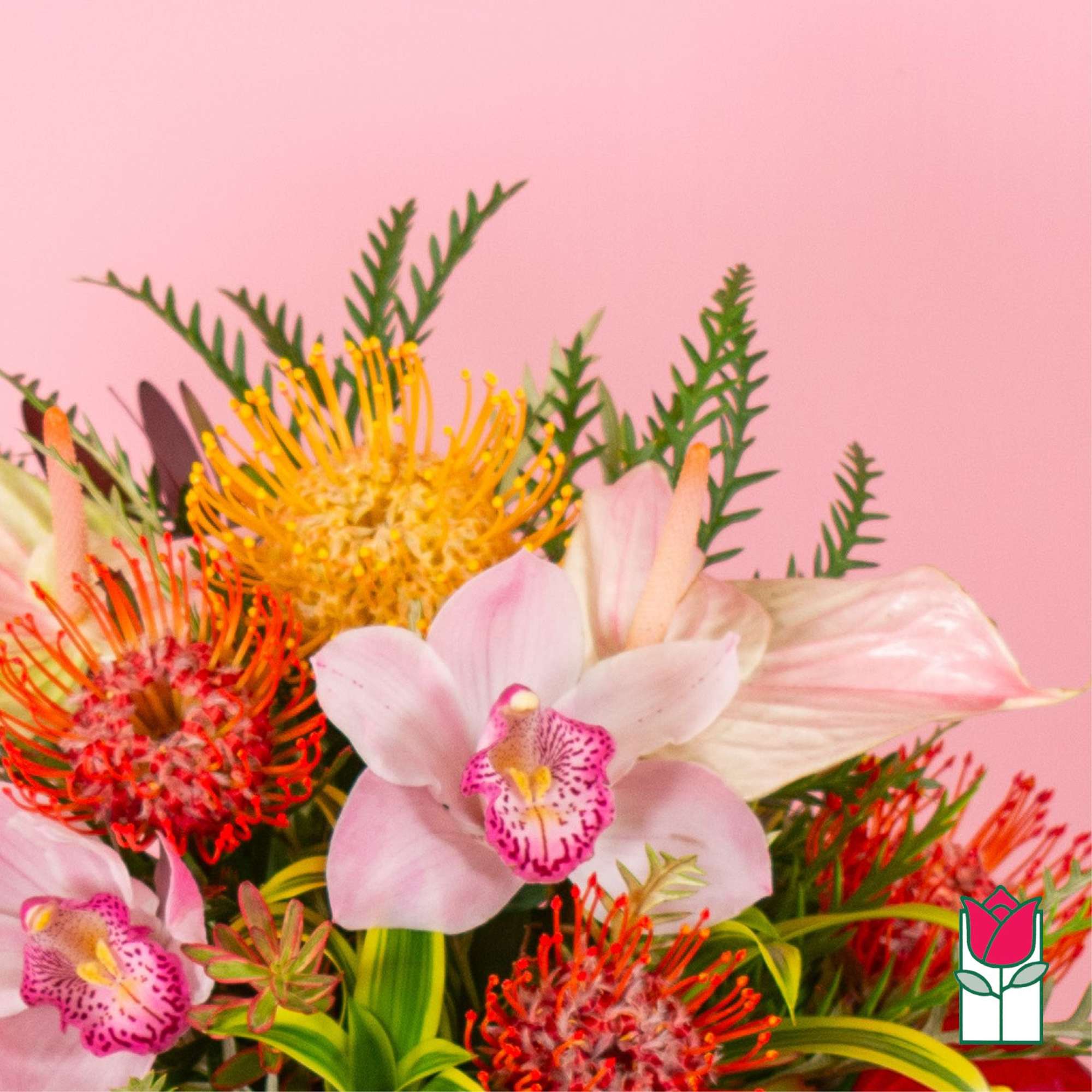 Tropical arrangement with pink orchids and orange-yellow pincushion blooms on a pink background