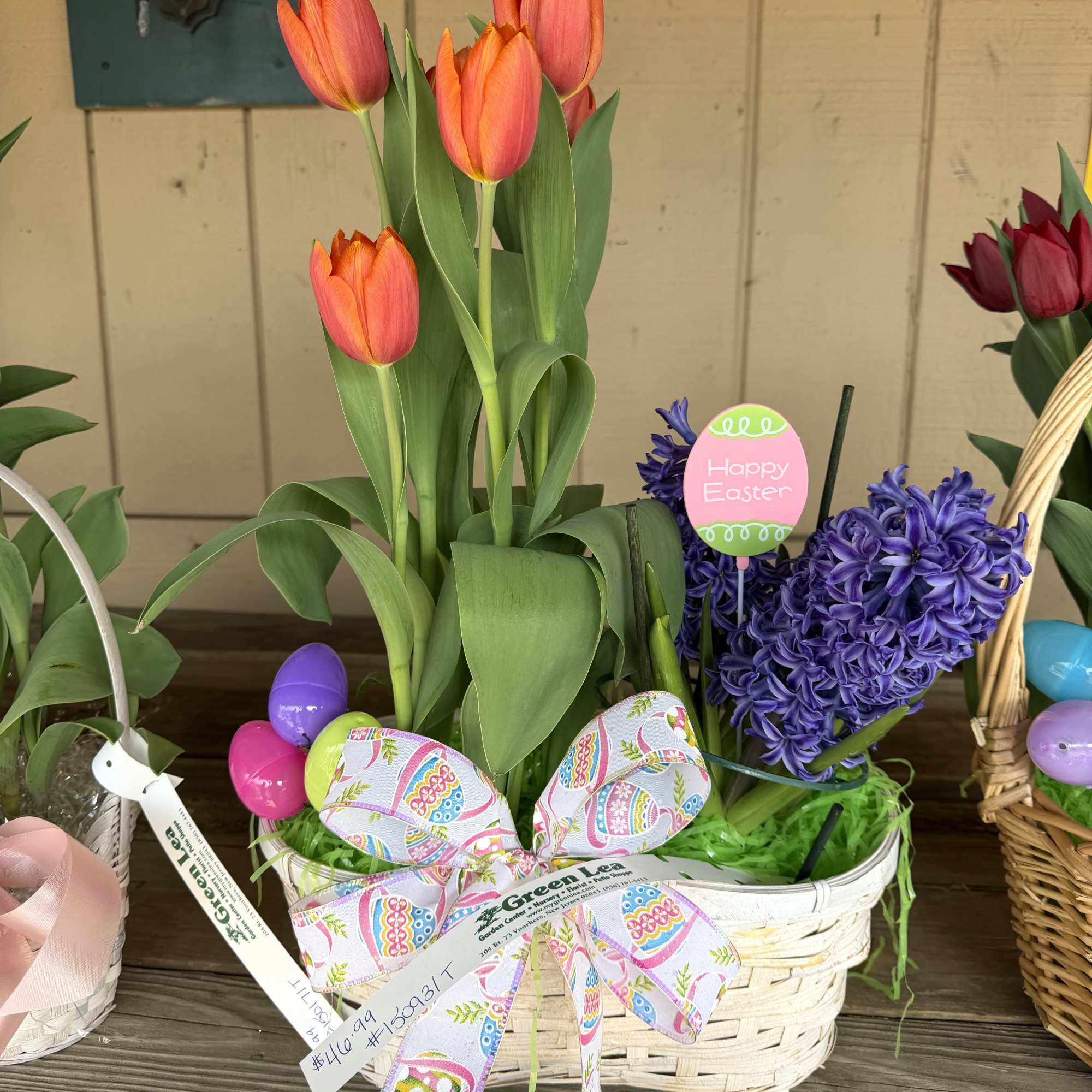 A variety of Easter Plants arranged in a basket with Easter accents.