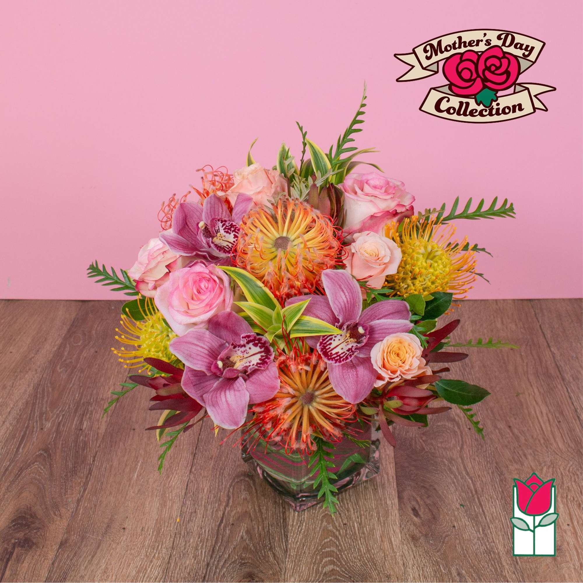 Approx. size: 8" High x 8" Wide
Size category: Compact Size, perfect for