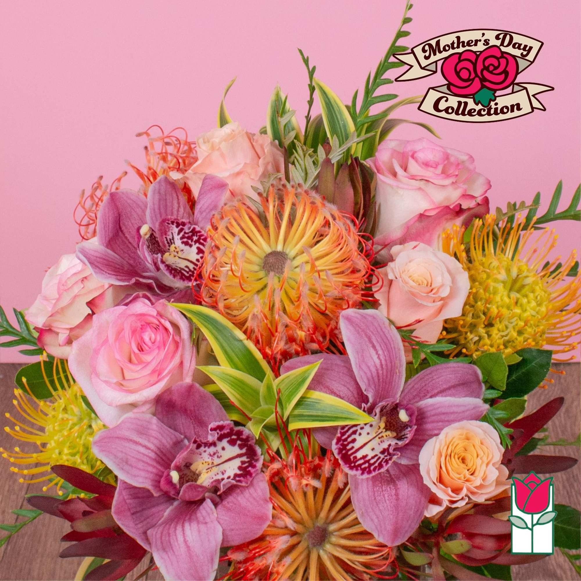 Approx. size: 8" High x 8" Wide
Size category: Compact Size, perfect for