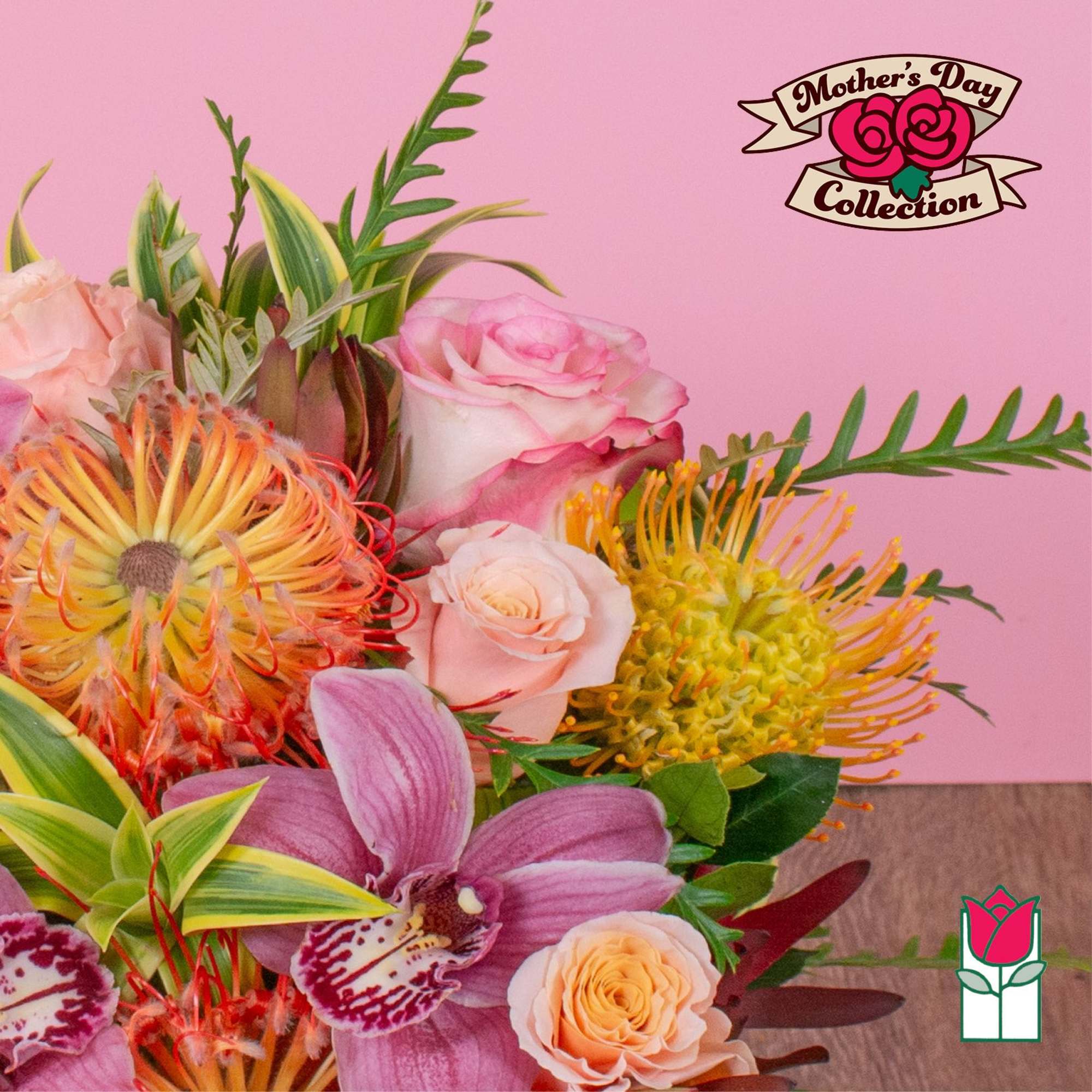 Approx. size: 8" High x 8" Wide
Size category: Compact Size, perfect for