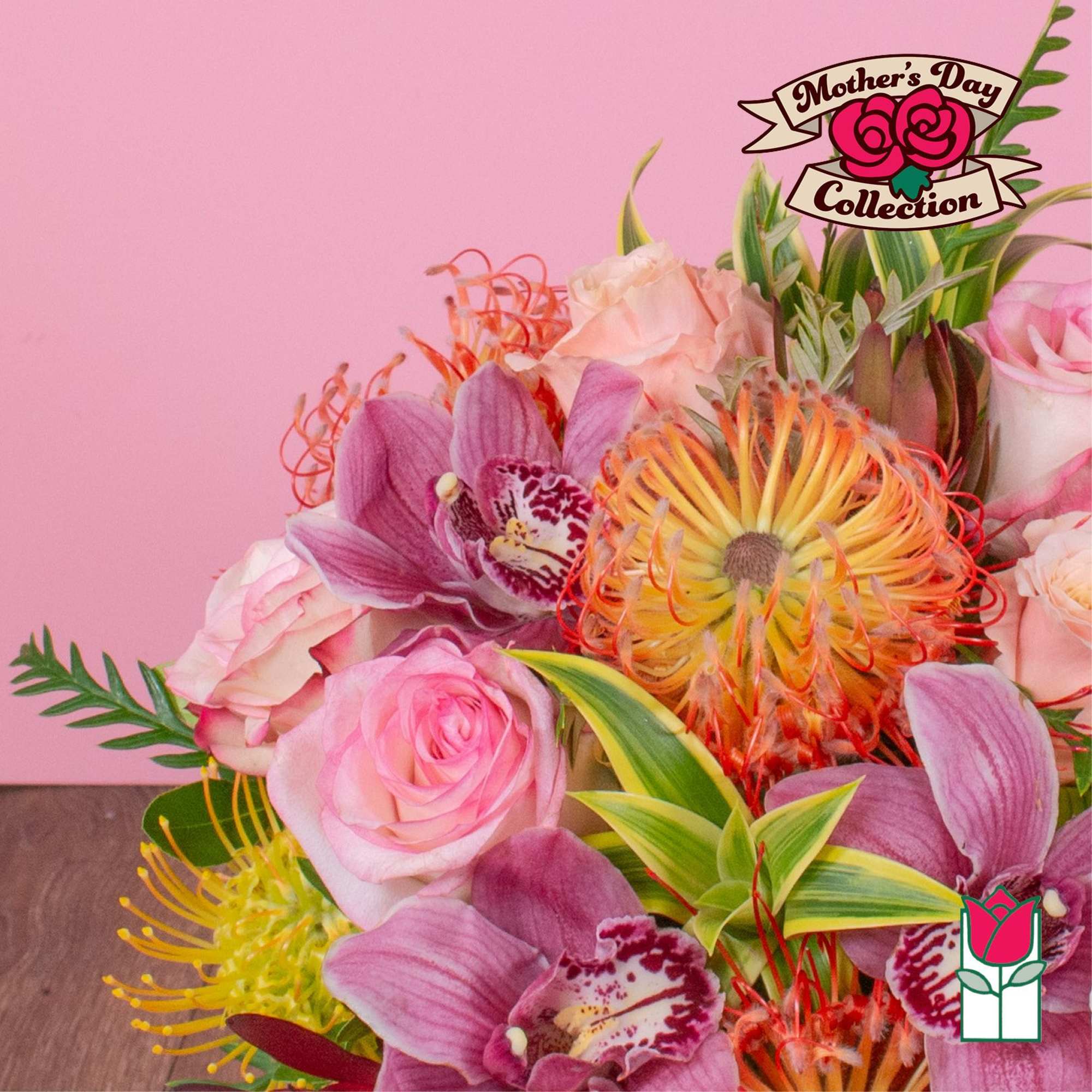 Approx. size: 8" High x 8" Wide
Size category: Compact Size, perfect for