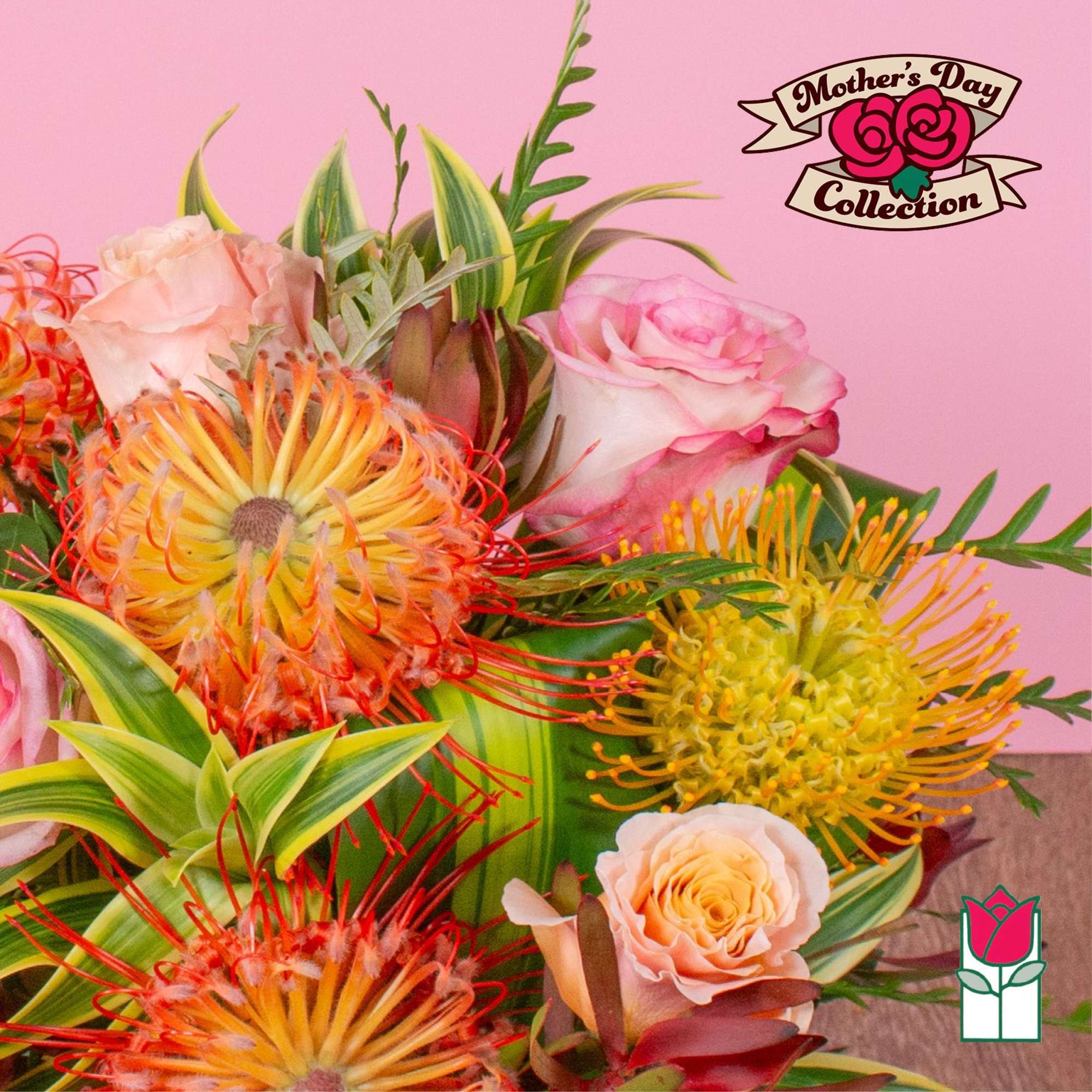 Bright bouquet with orange and yellow protea and pink roses against a pink background.