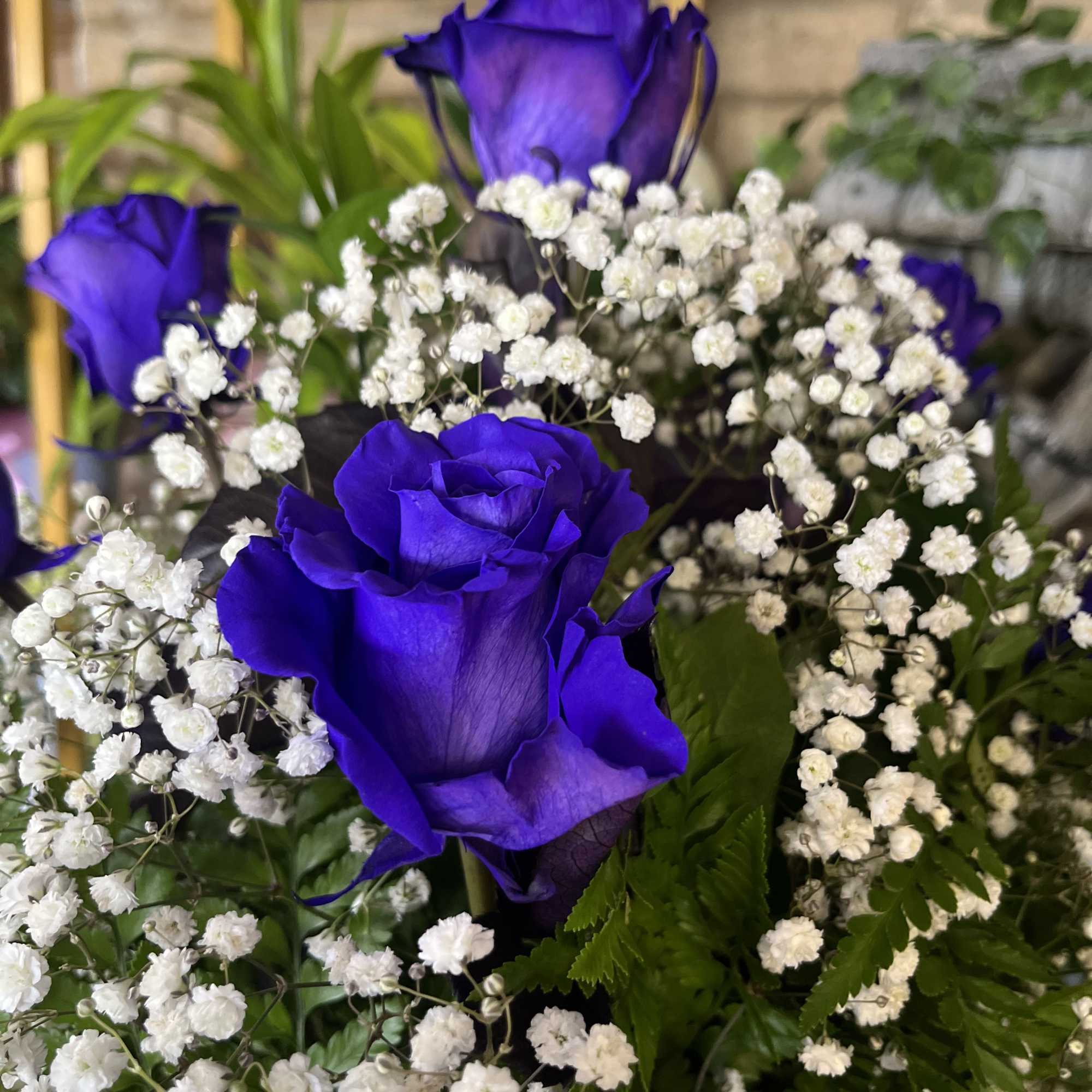 Arrangement of vivid purple roses accented with clusters of tiny white flowers.