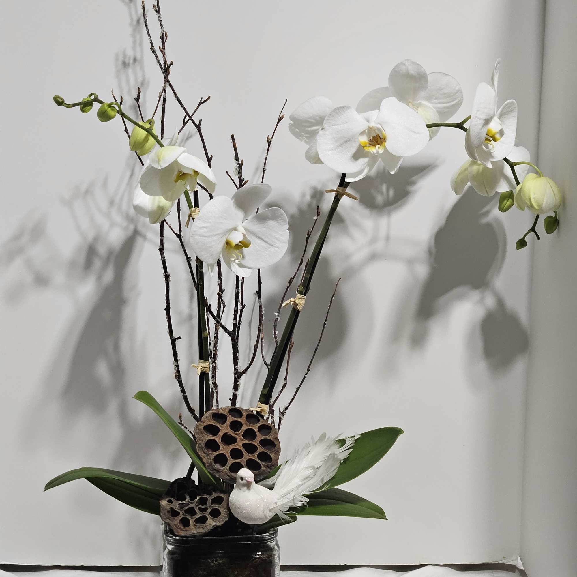 White phalaenopsis orchid plant with branches, lotus pods, and a white bird in a square glass vase