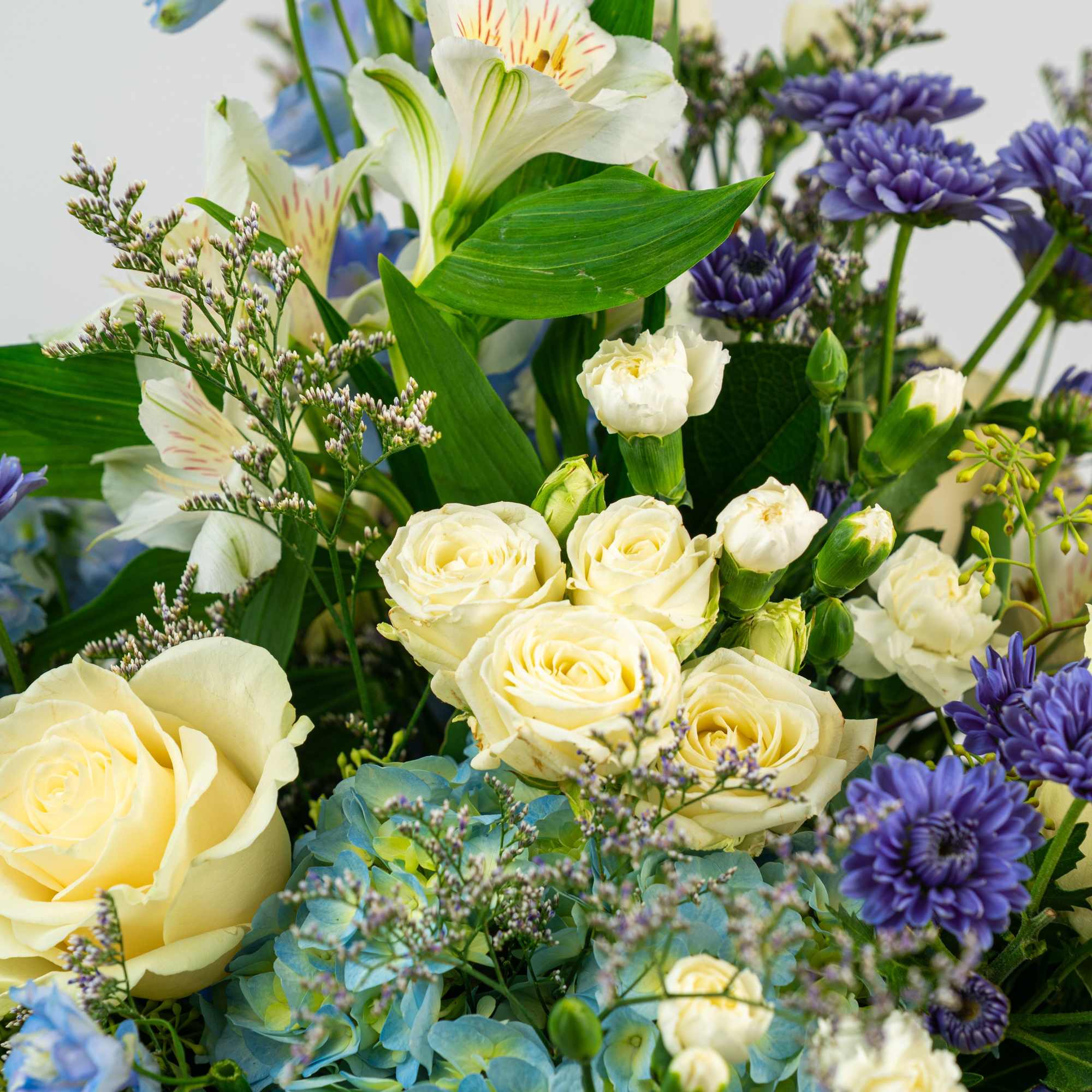 Arrangement of cream roses, white alstroemeria, blue hydrangeas, and purple flowers