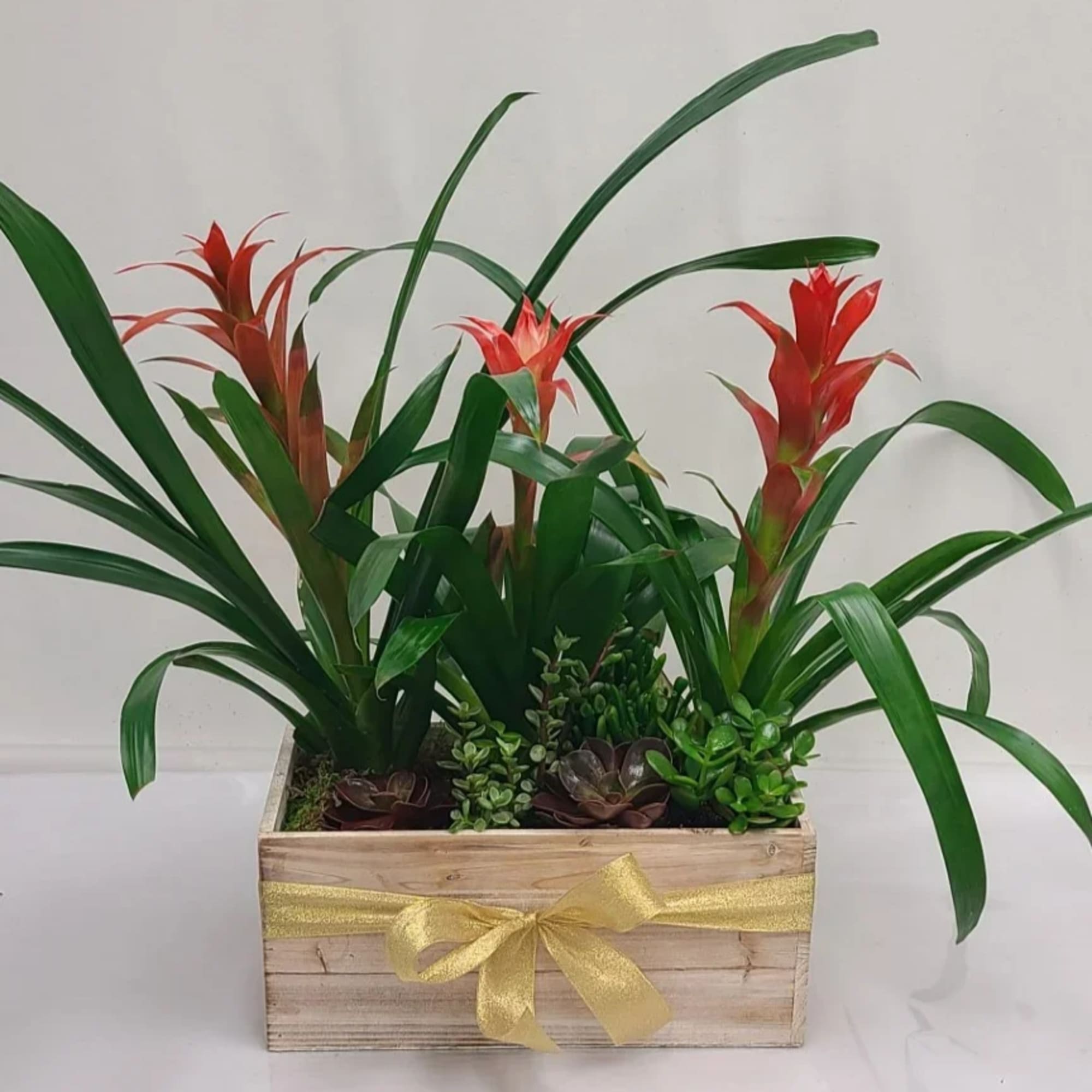 Tropical plants and succulents in a wooden box planter with red blooms and a gold ribbon bow