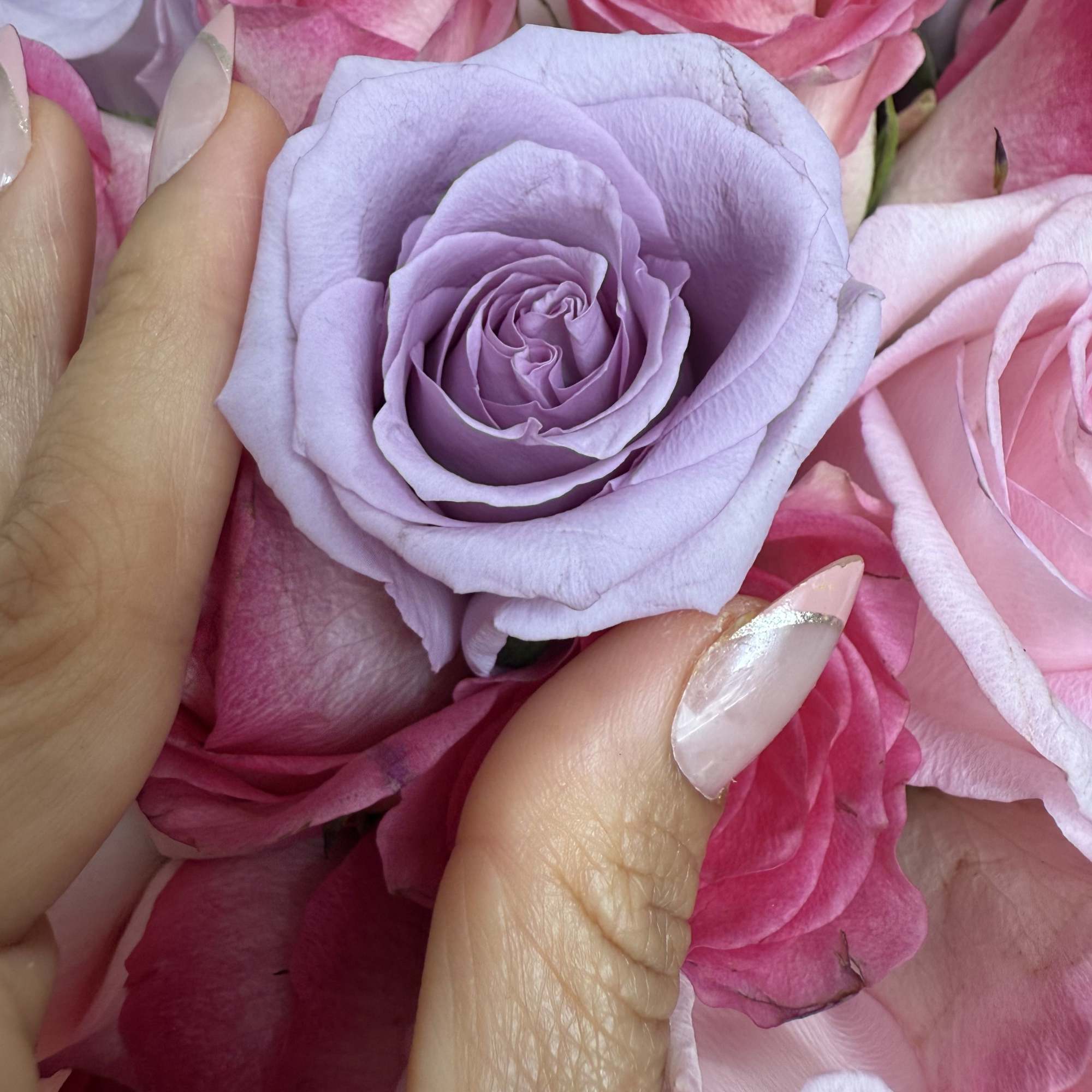 Beautiful personalized box with pink satin finishes accompanied by natural roses chosen
