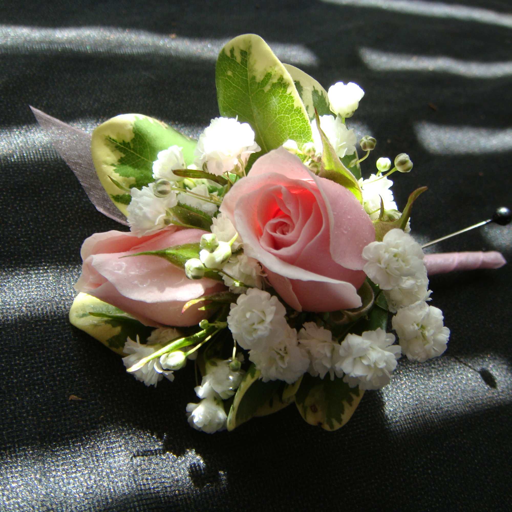  Pink Spray Rose Boutonniere 