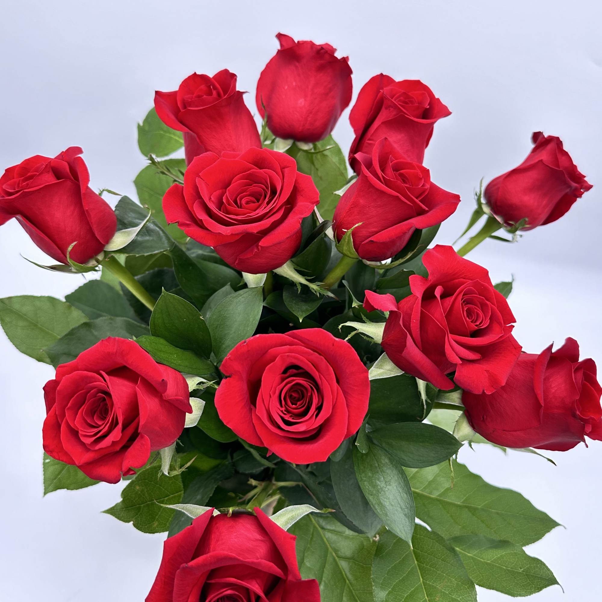 Bouquet of red roses with green leaves on a white background