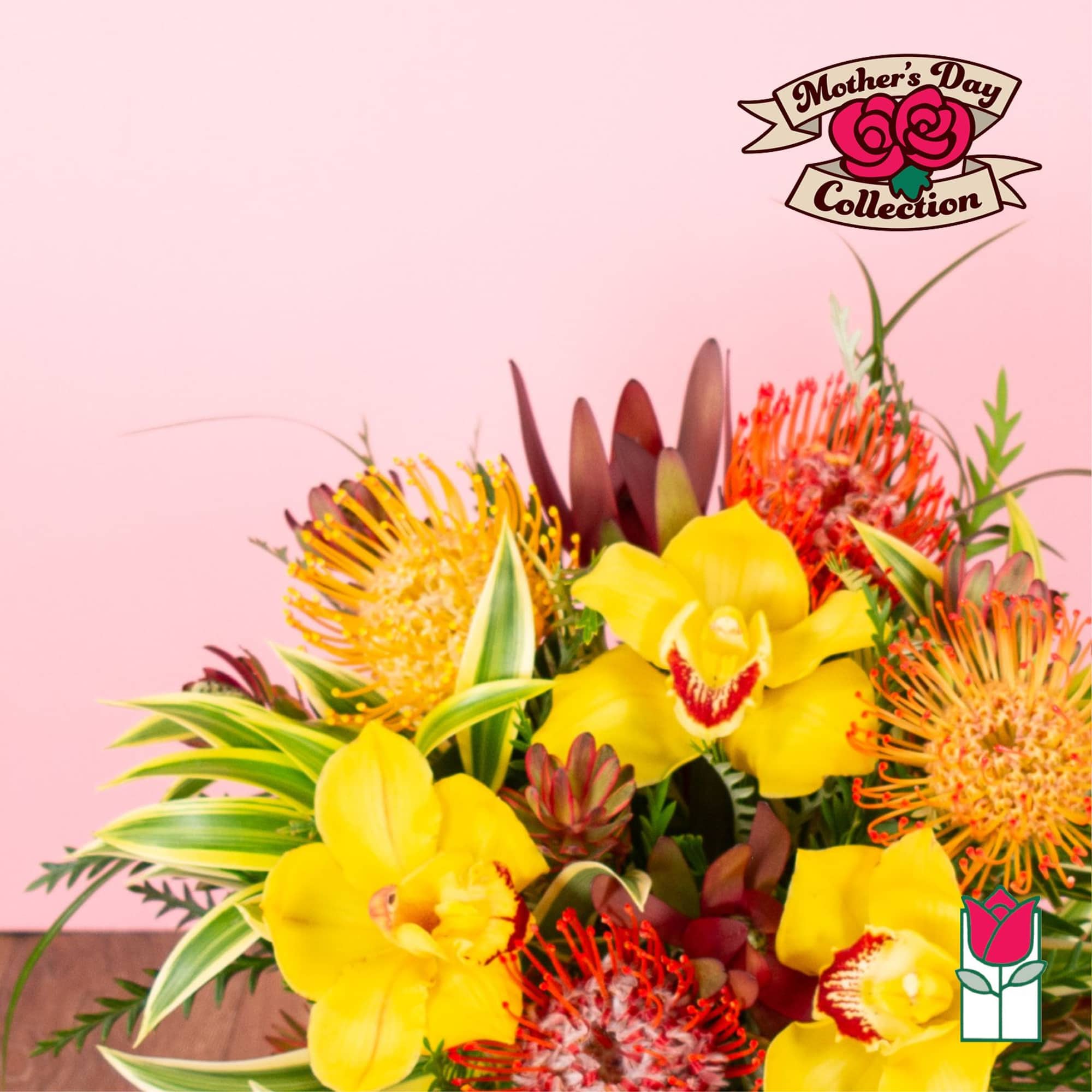 Bright arrangement of yellow orchids and orange pincushion protea on a pink background